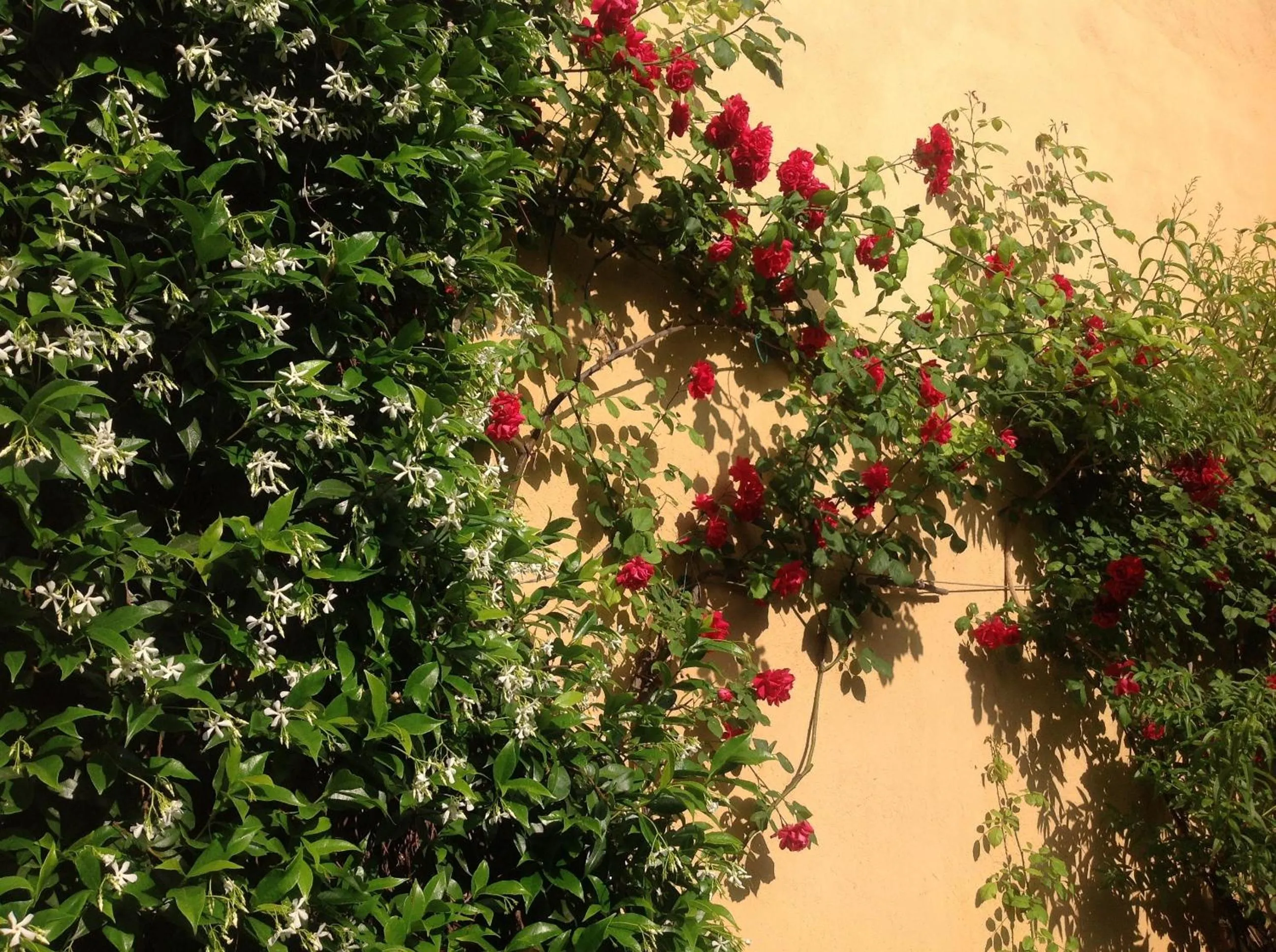 Decorative detail in Albergo Giardinetto