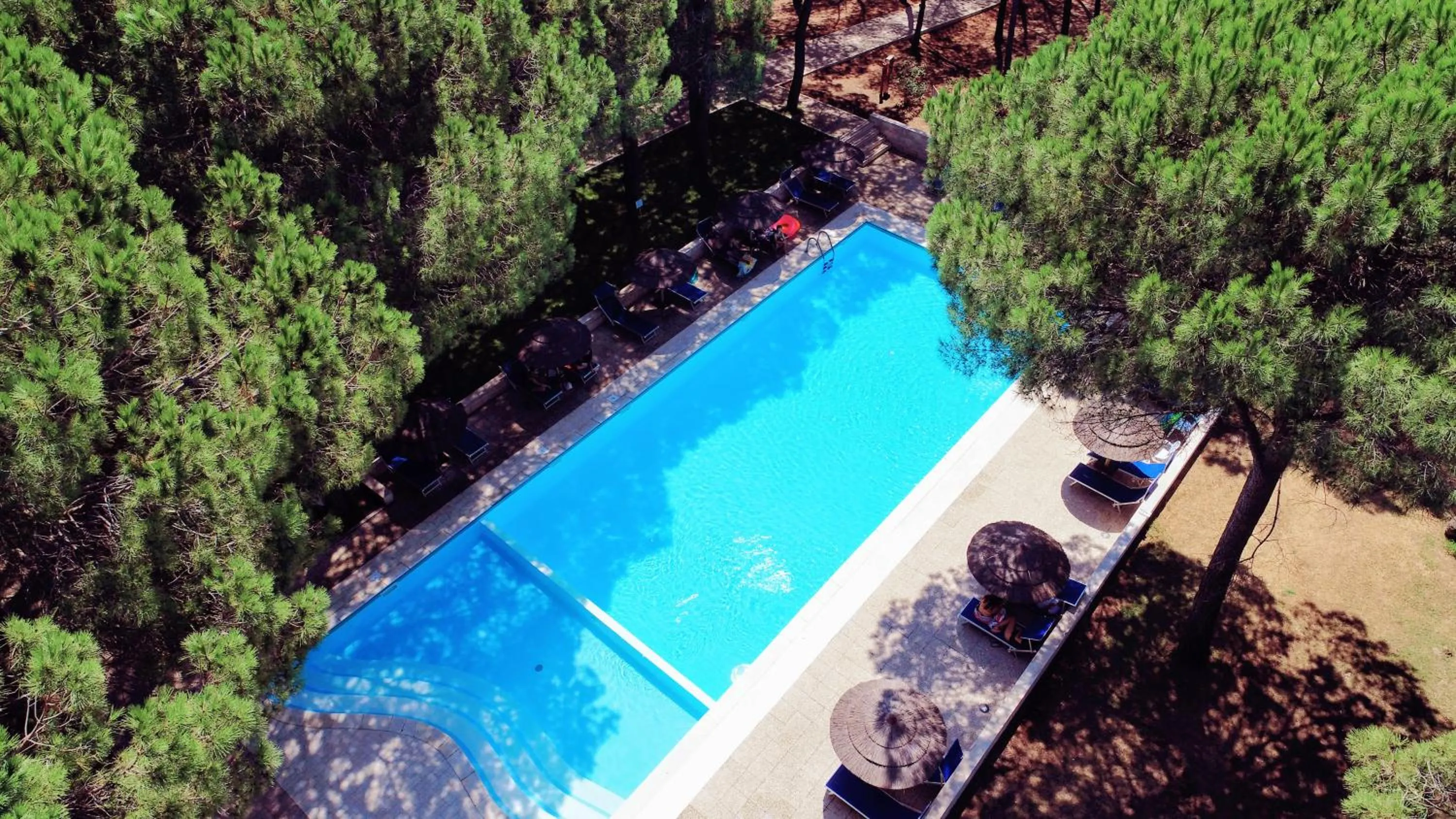 Bird's eye view in Spinnaker