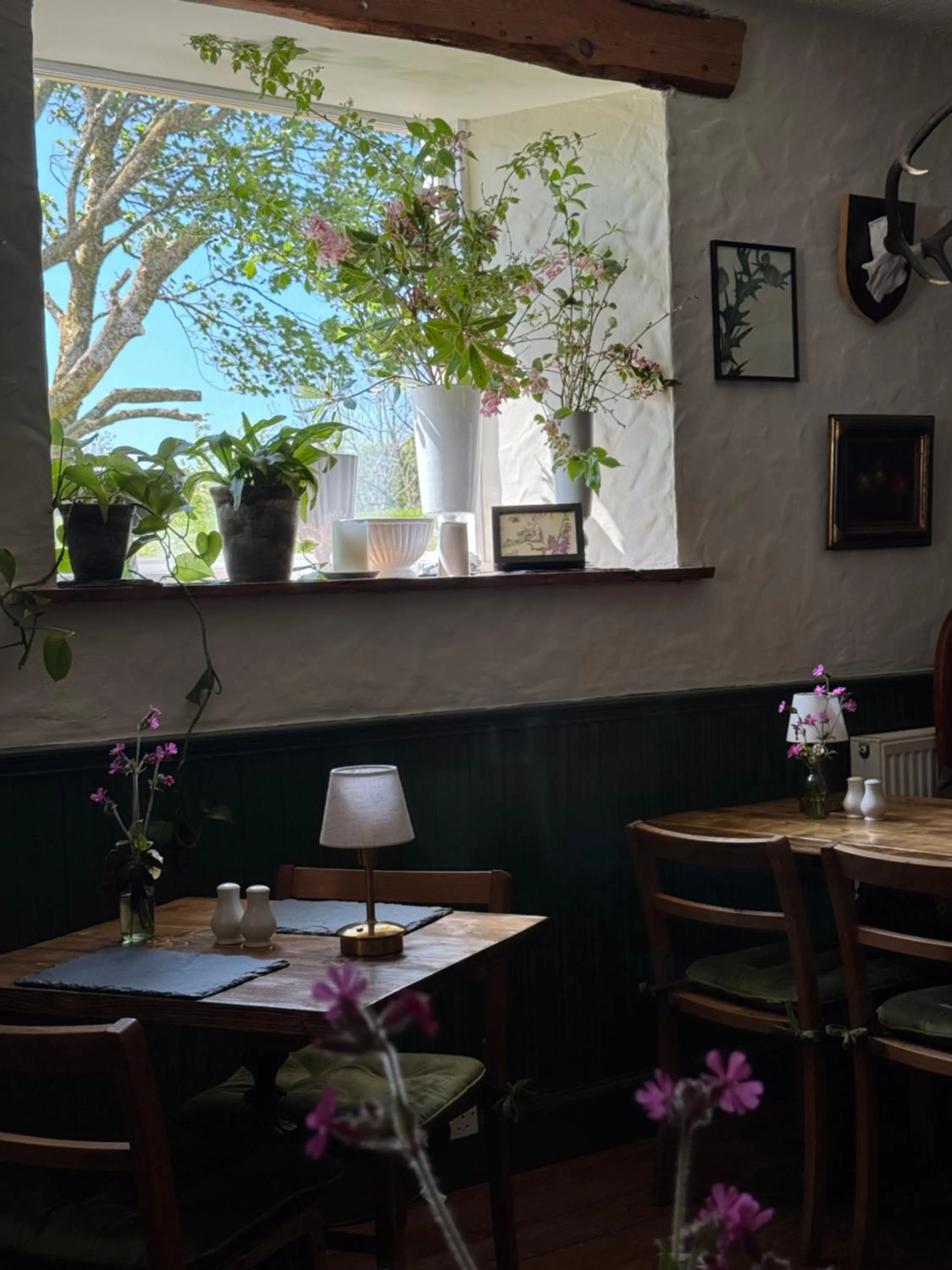 Restaurant/places to eat in The Bellachroy