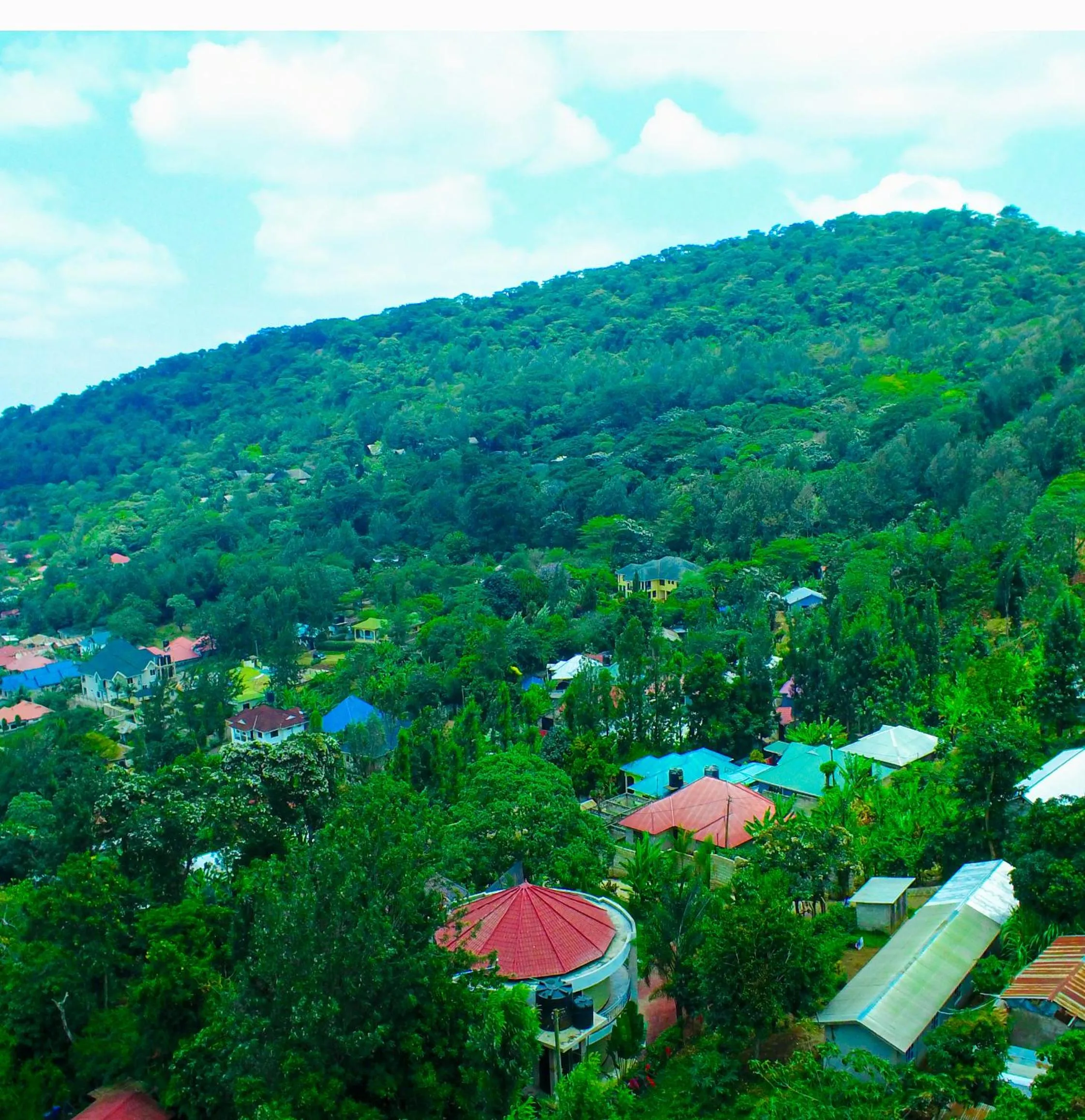 Day in Skill forest lodge