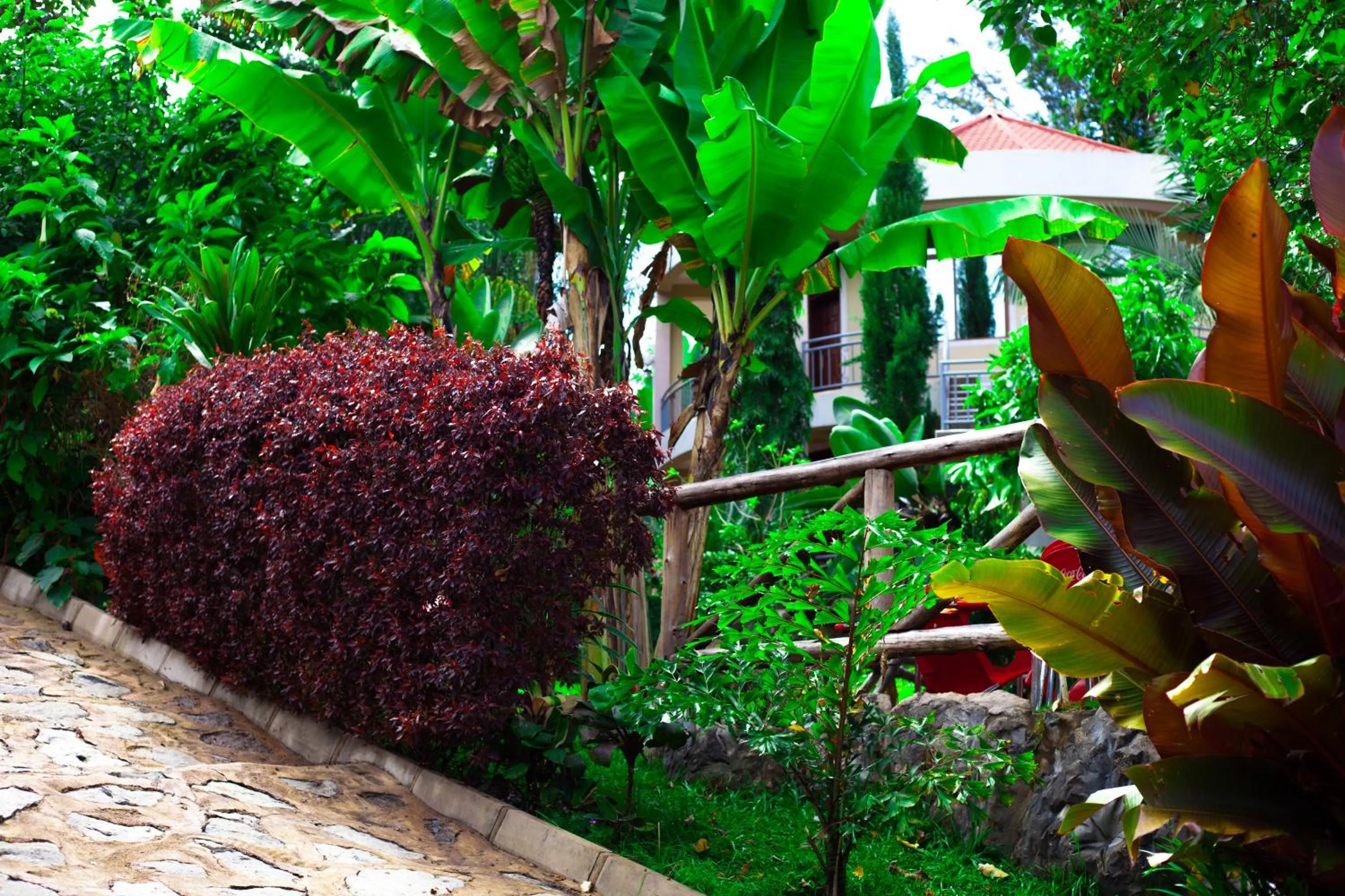 Day in Skill forest lodge