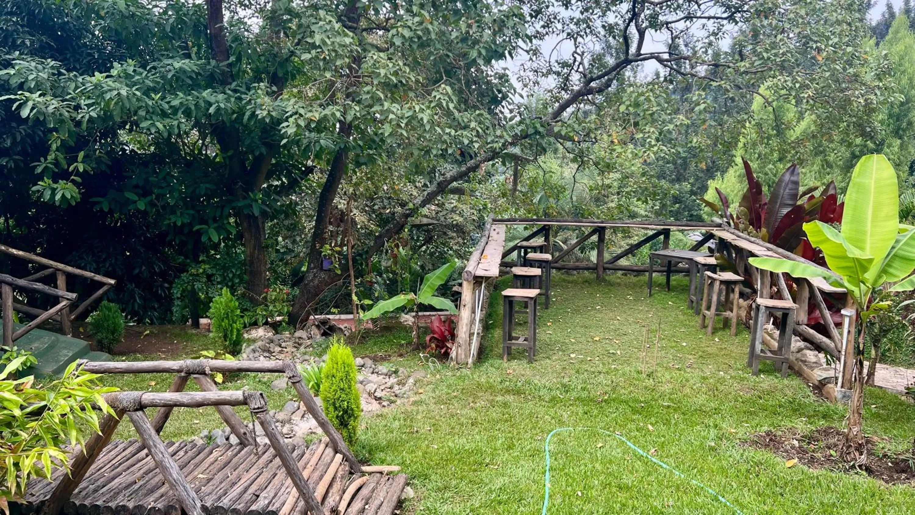 Natural landscape in Skill forest lodge
