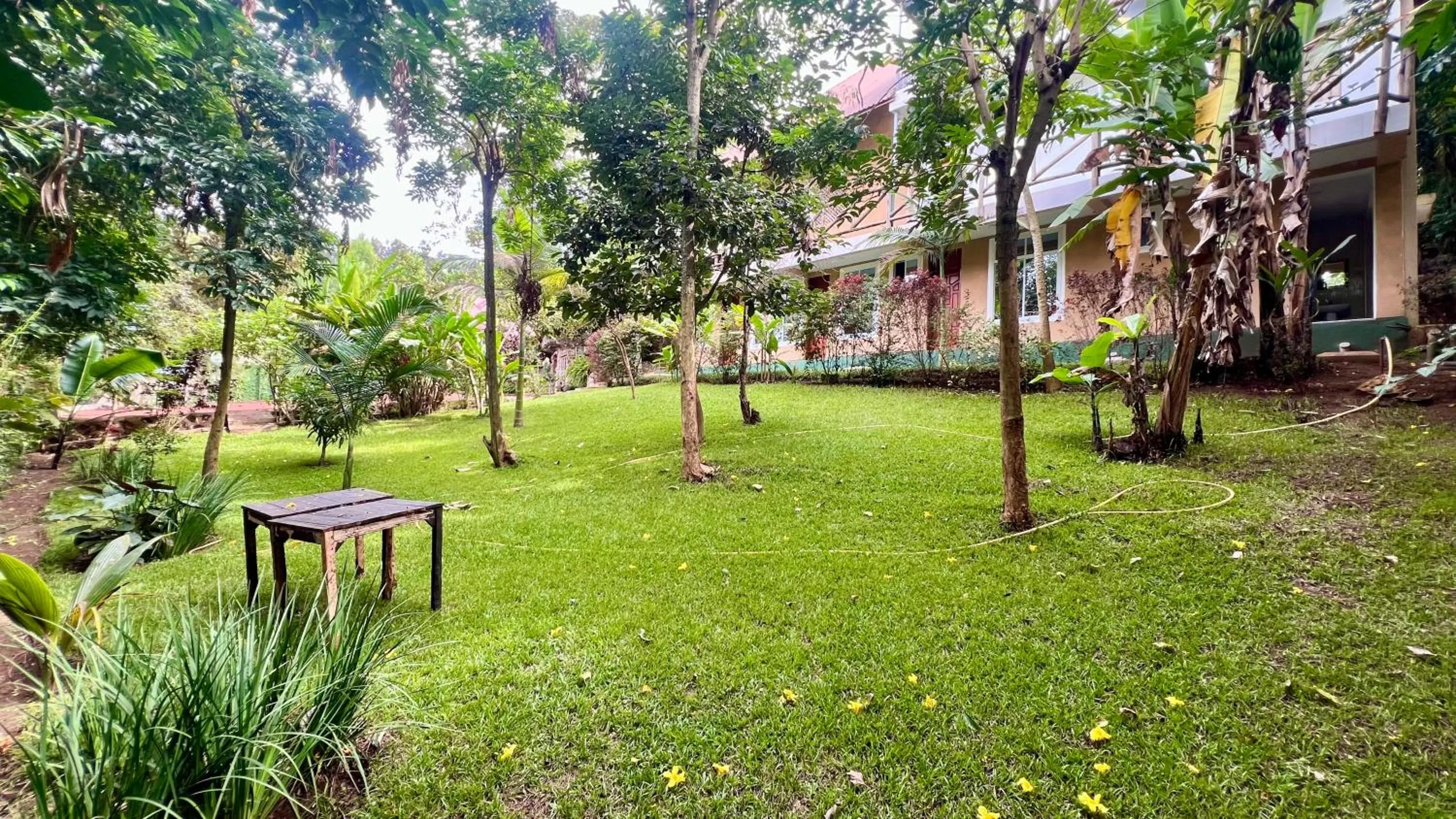 Natural landscape in Skill forest lodge