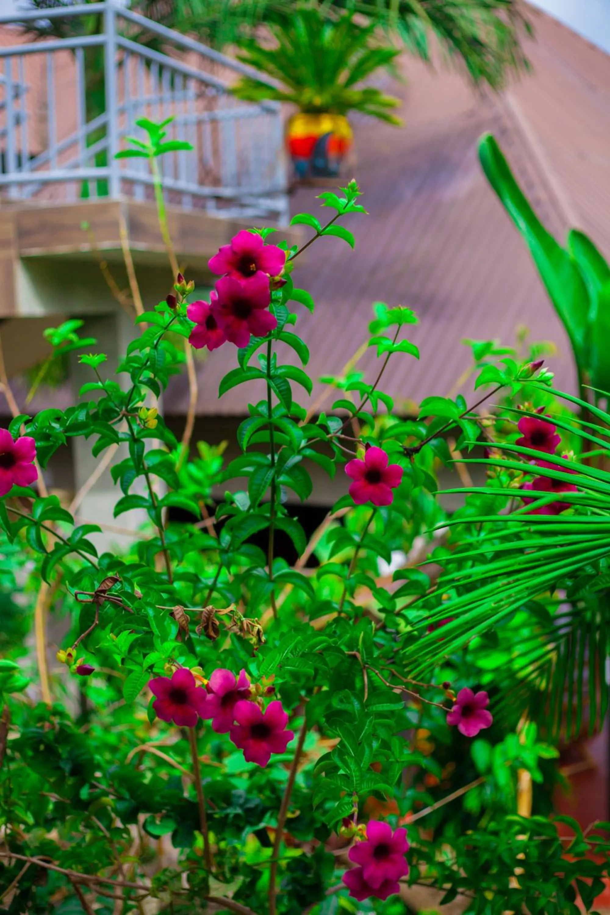 Day in Skill forest lodge