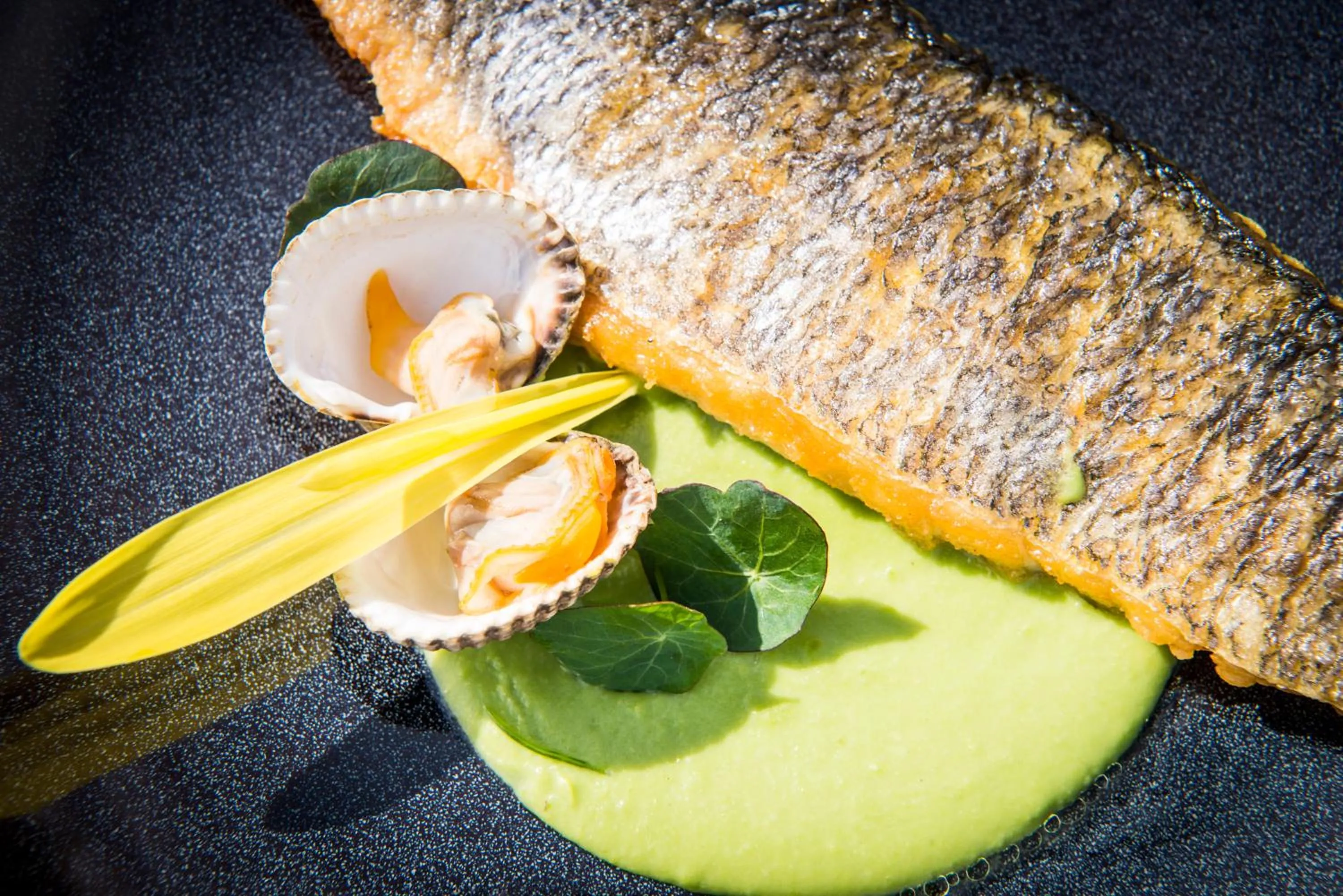 Restaurant/places to eat in Hotel Greenside Texel