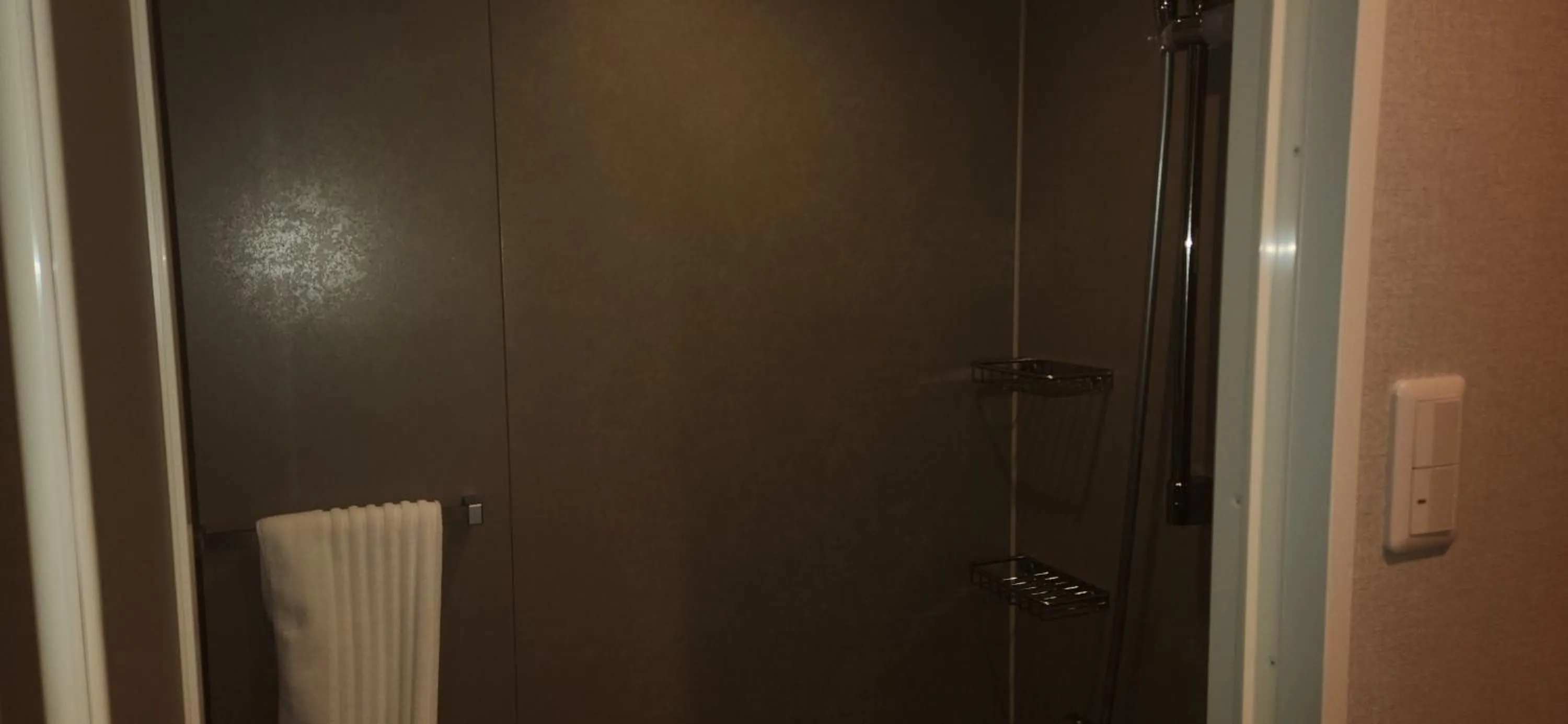 Shower in Hotel Surpromont