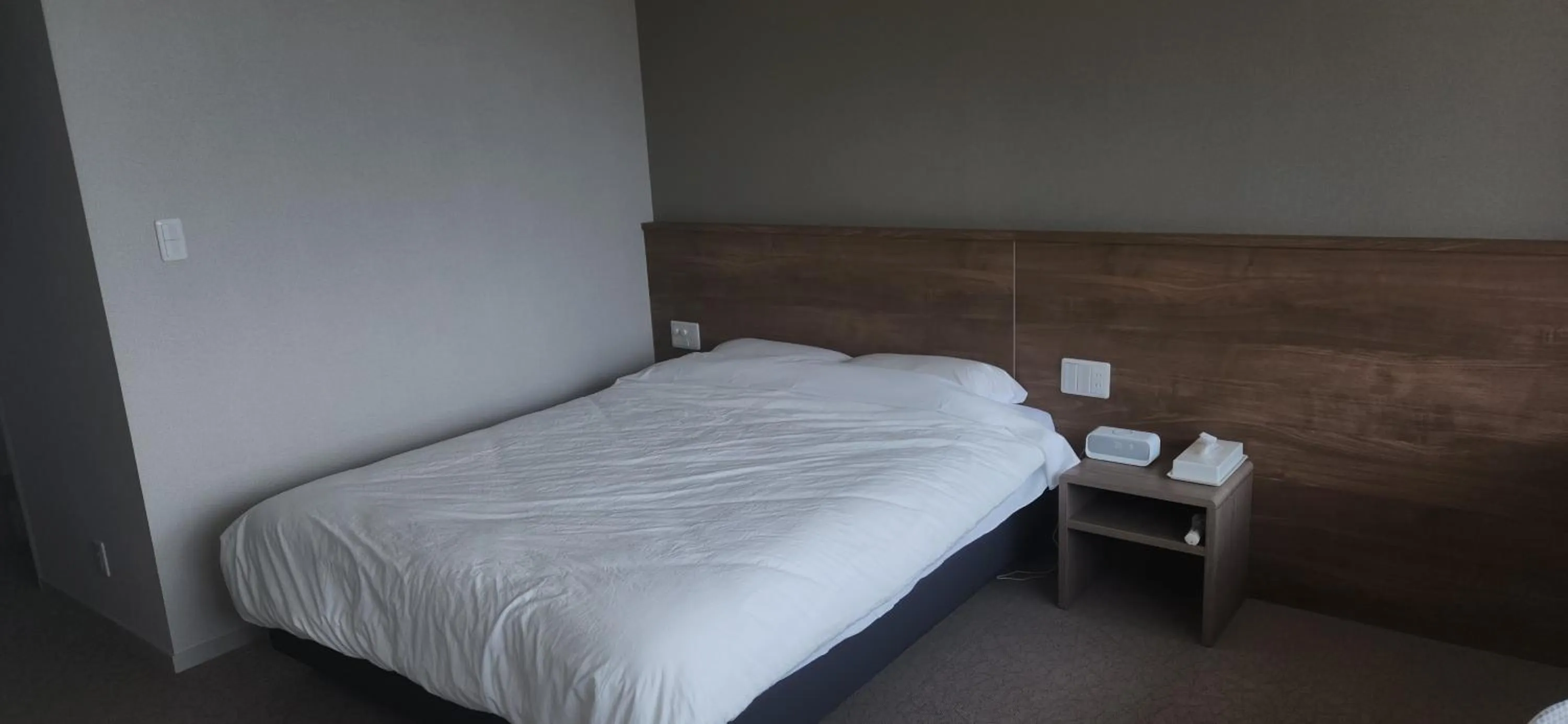 Pets in Hotel Surpromont