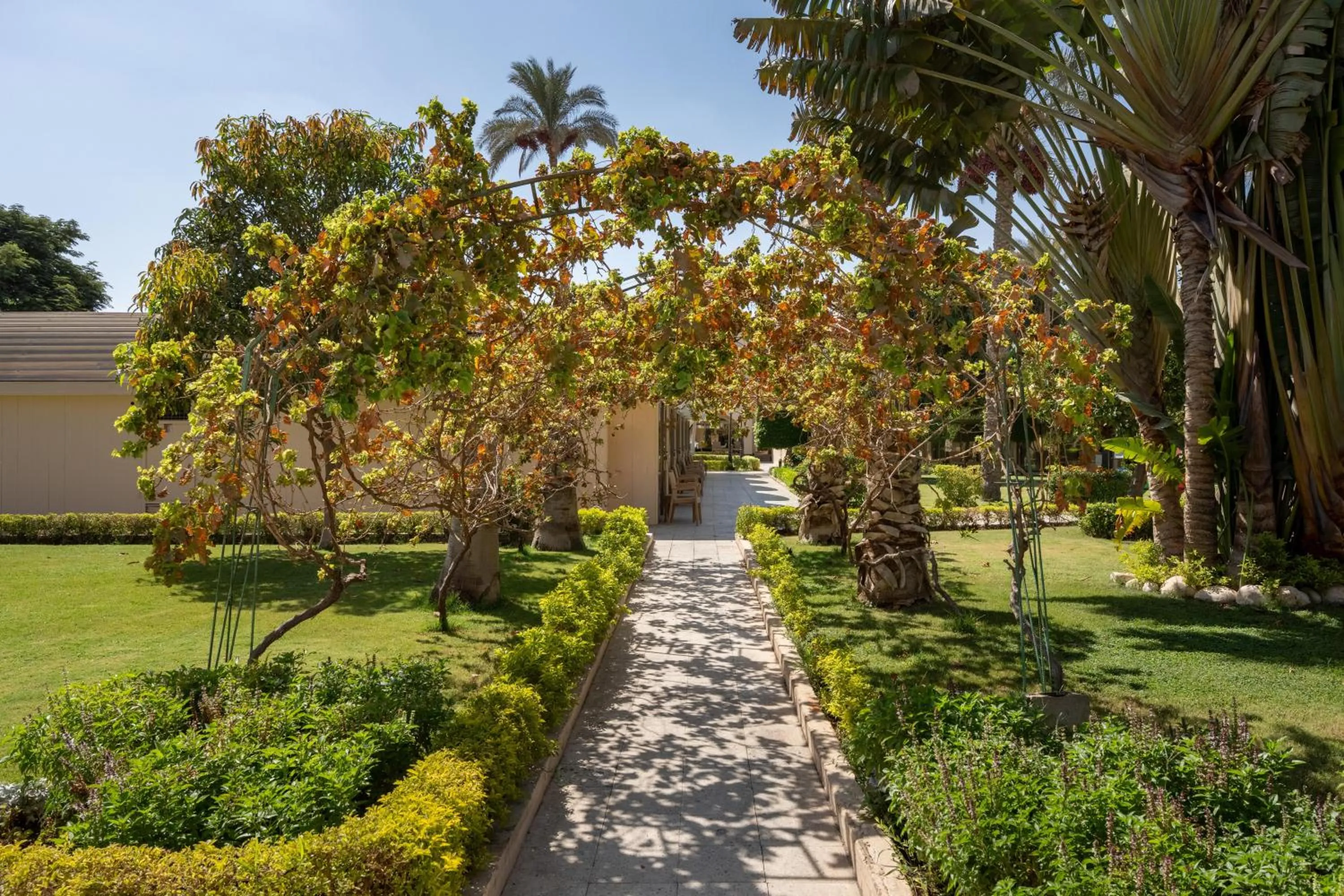 Garden in JAZ Pyramids Resort