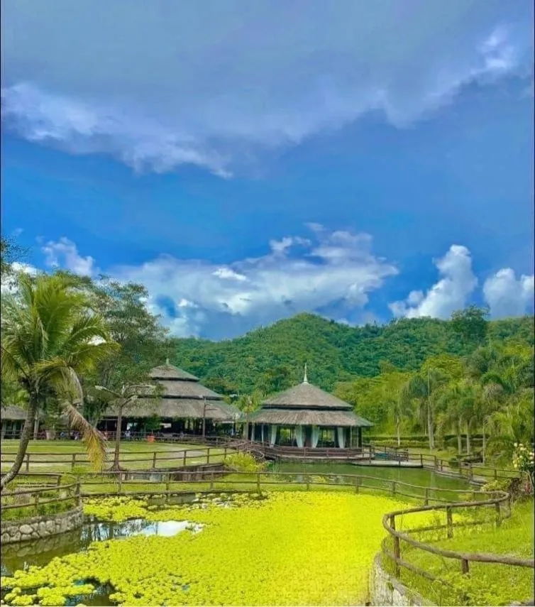 Property building in Balay Ni Tatay Farm Resort by Cocotel