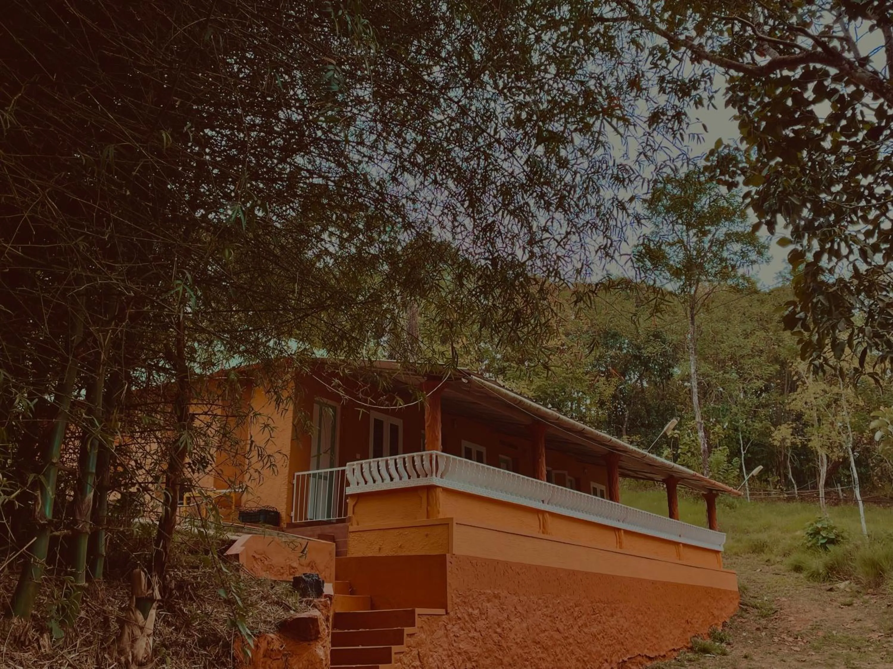 View (from property/room) in Punarjani Ayurvedic Resorts