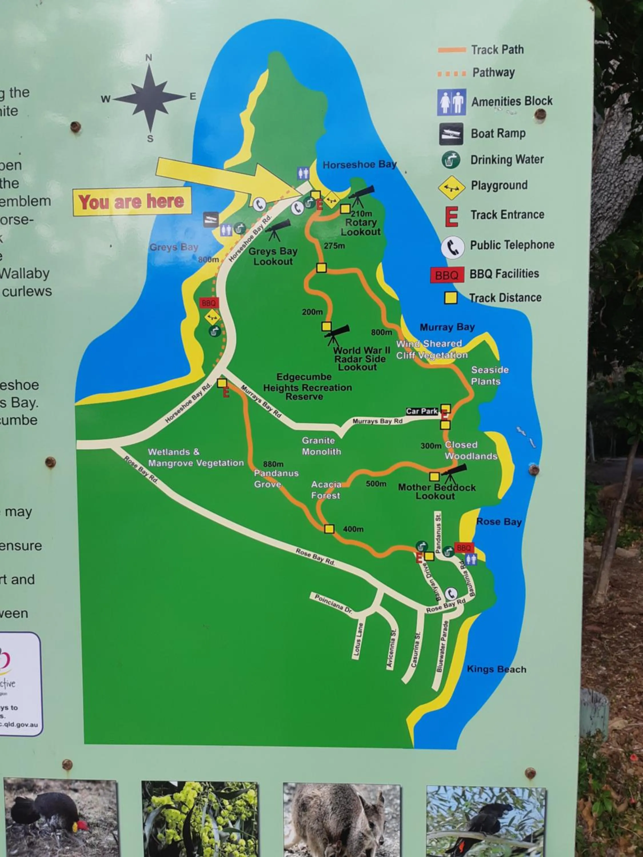 Hiking in Whitsunday Sands Resort