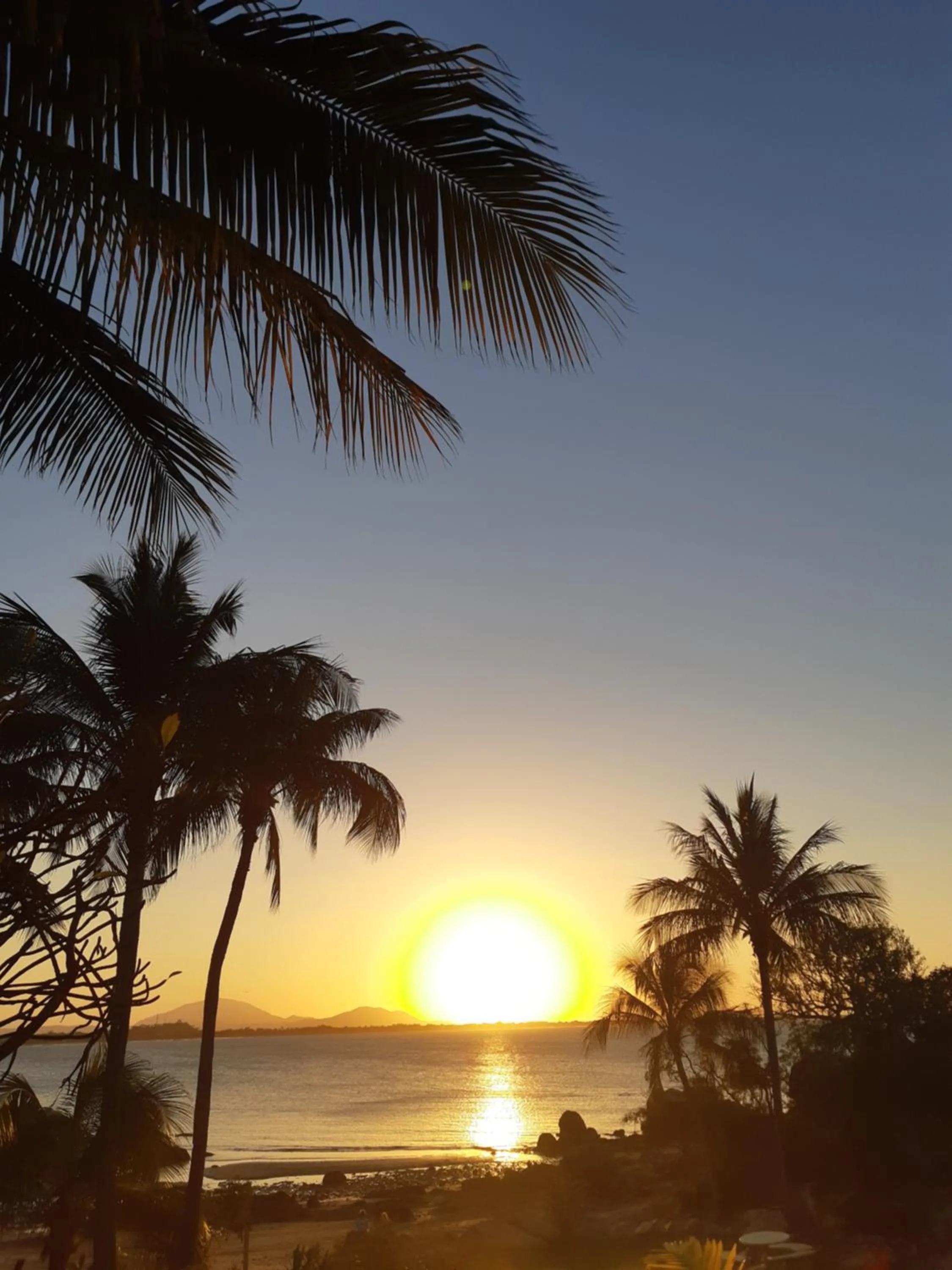 Beach in Whitsunday Sands Resort