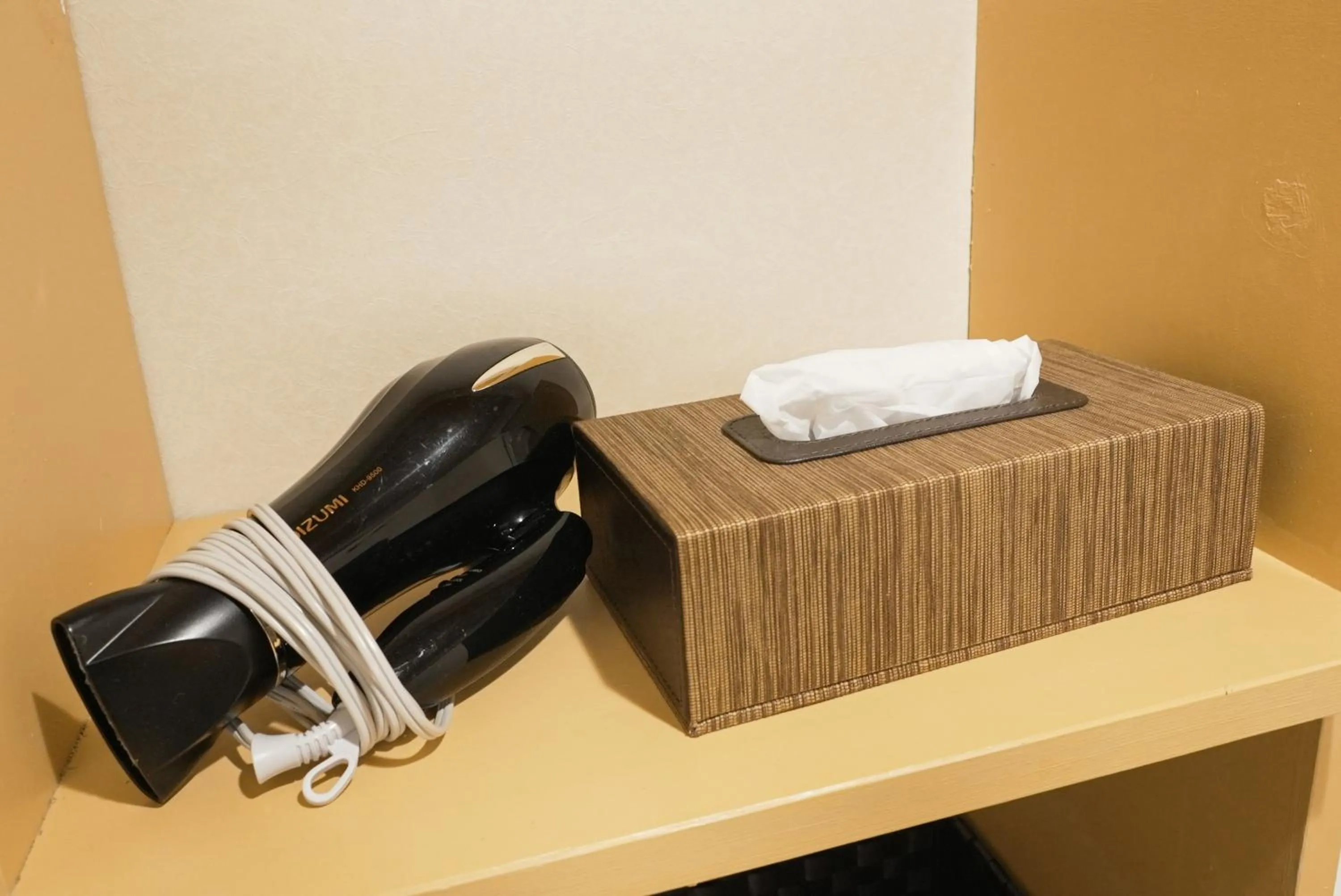 Area and facilities in Lodging Tokyo Shibamata