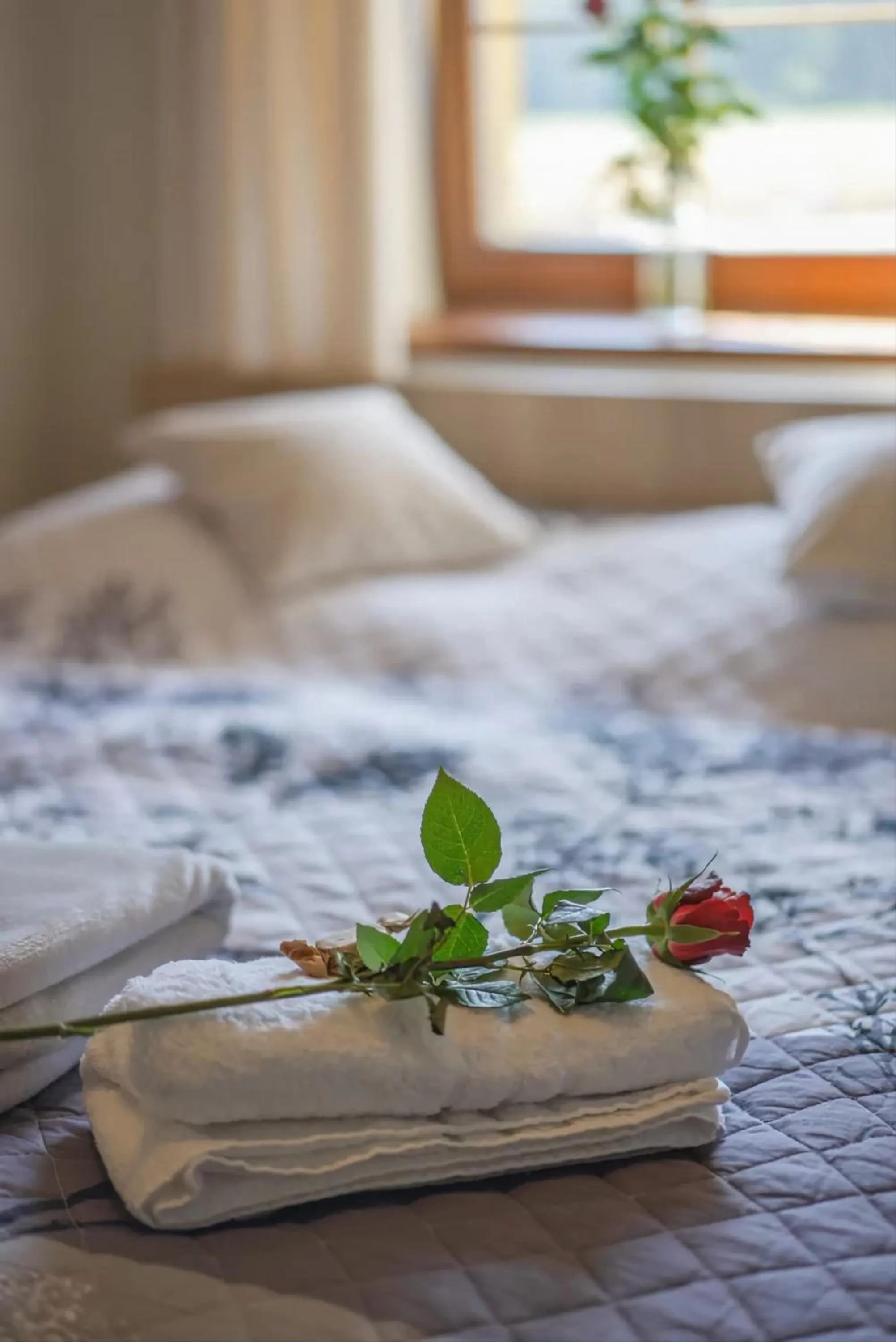 Bed in Wellness Penzion Life