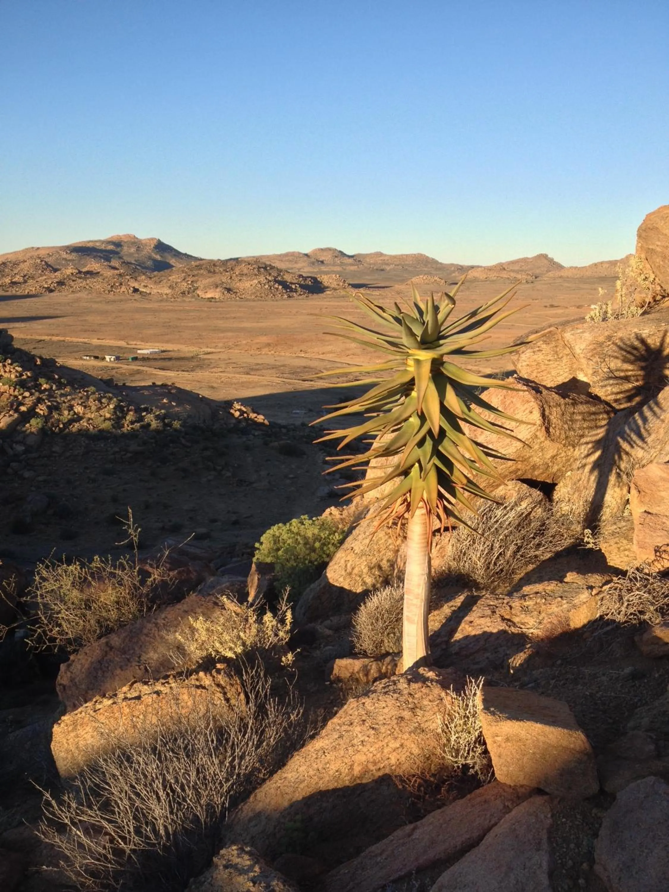 Mountain view in Apollis Cottage