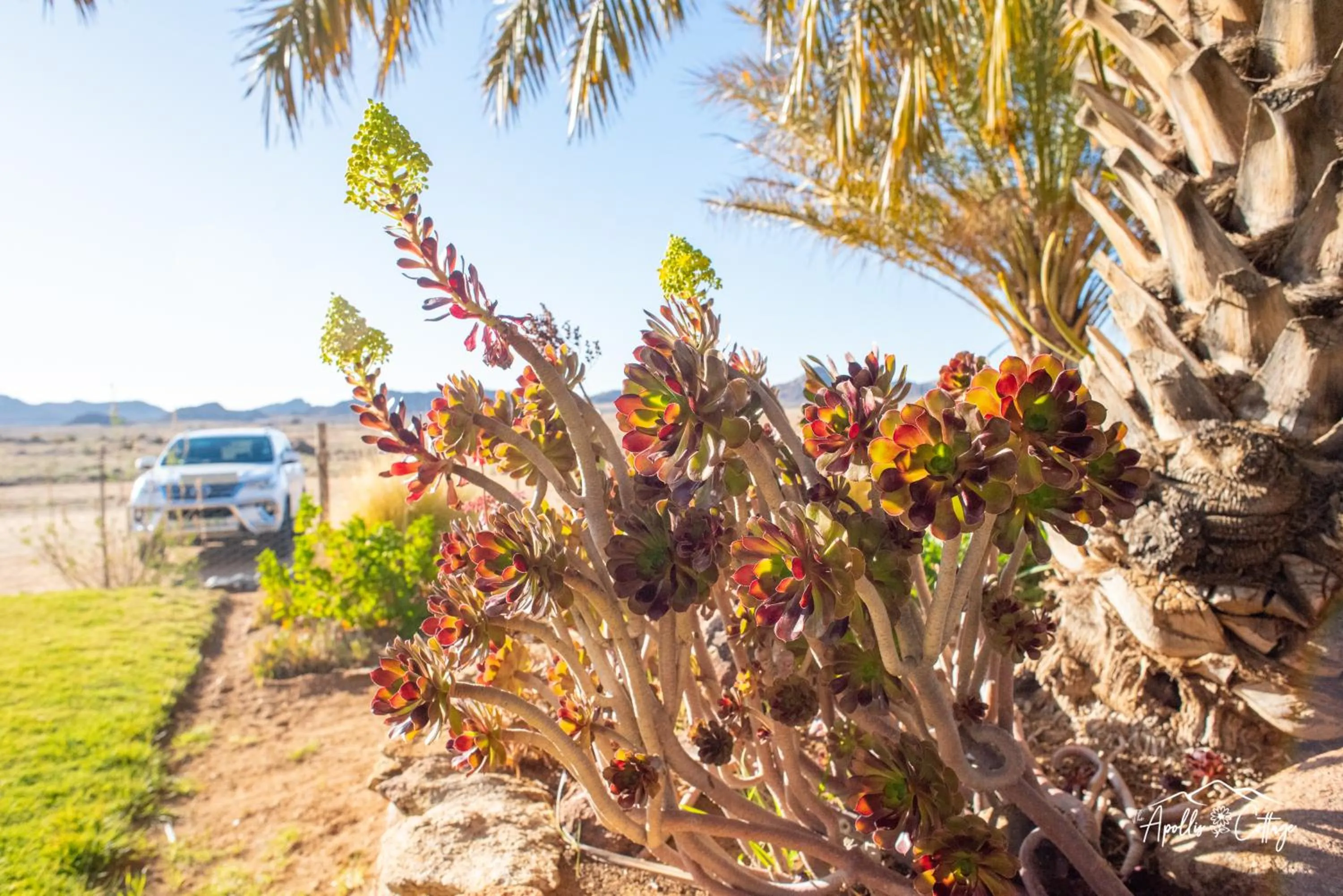 Natural landscape in Apollis Cottage