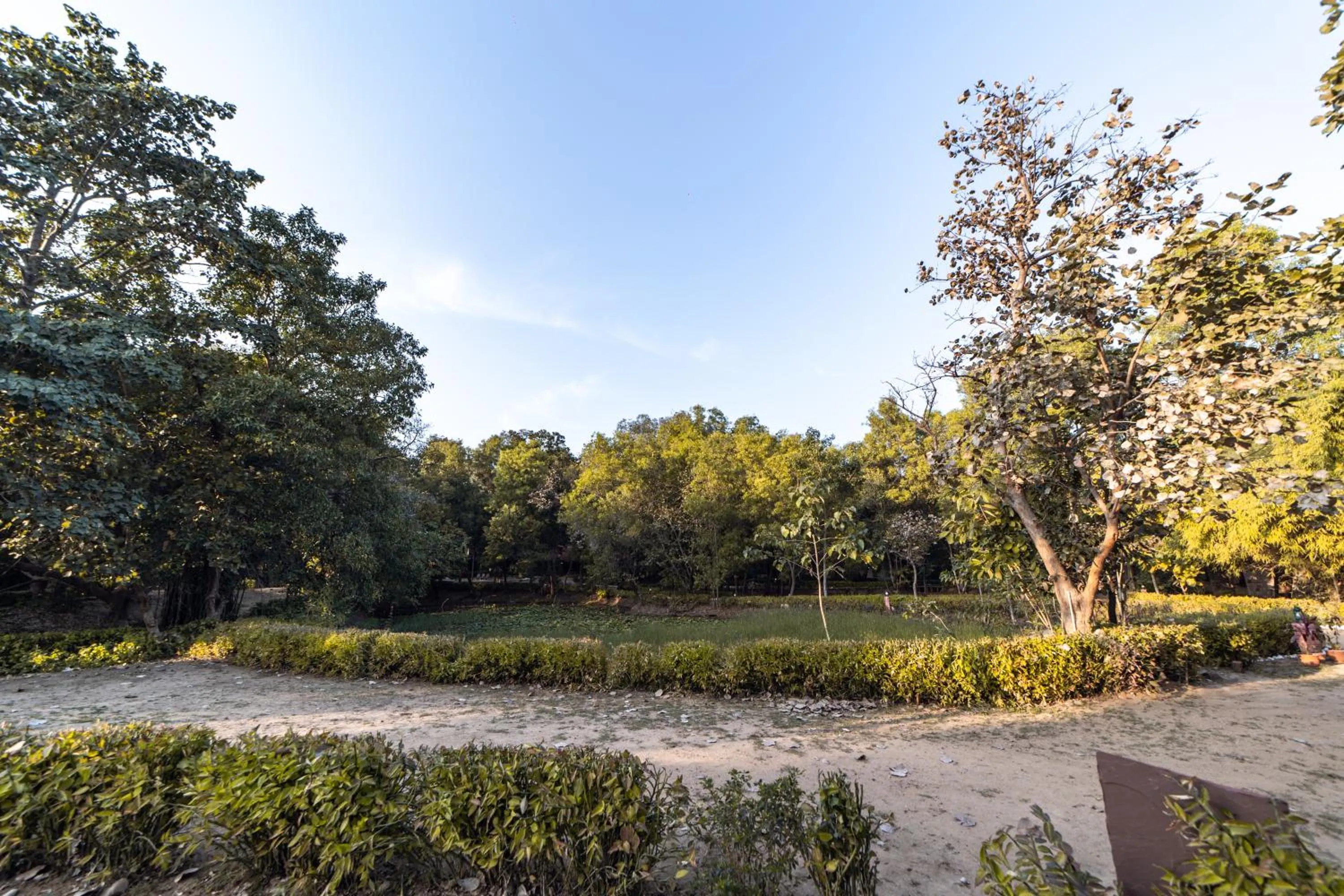Natural landscape in Tiger Trails Resort
