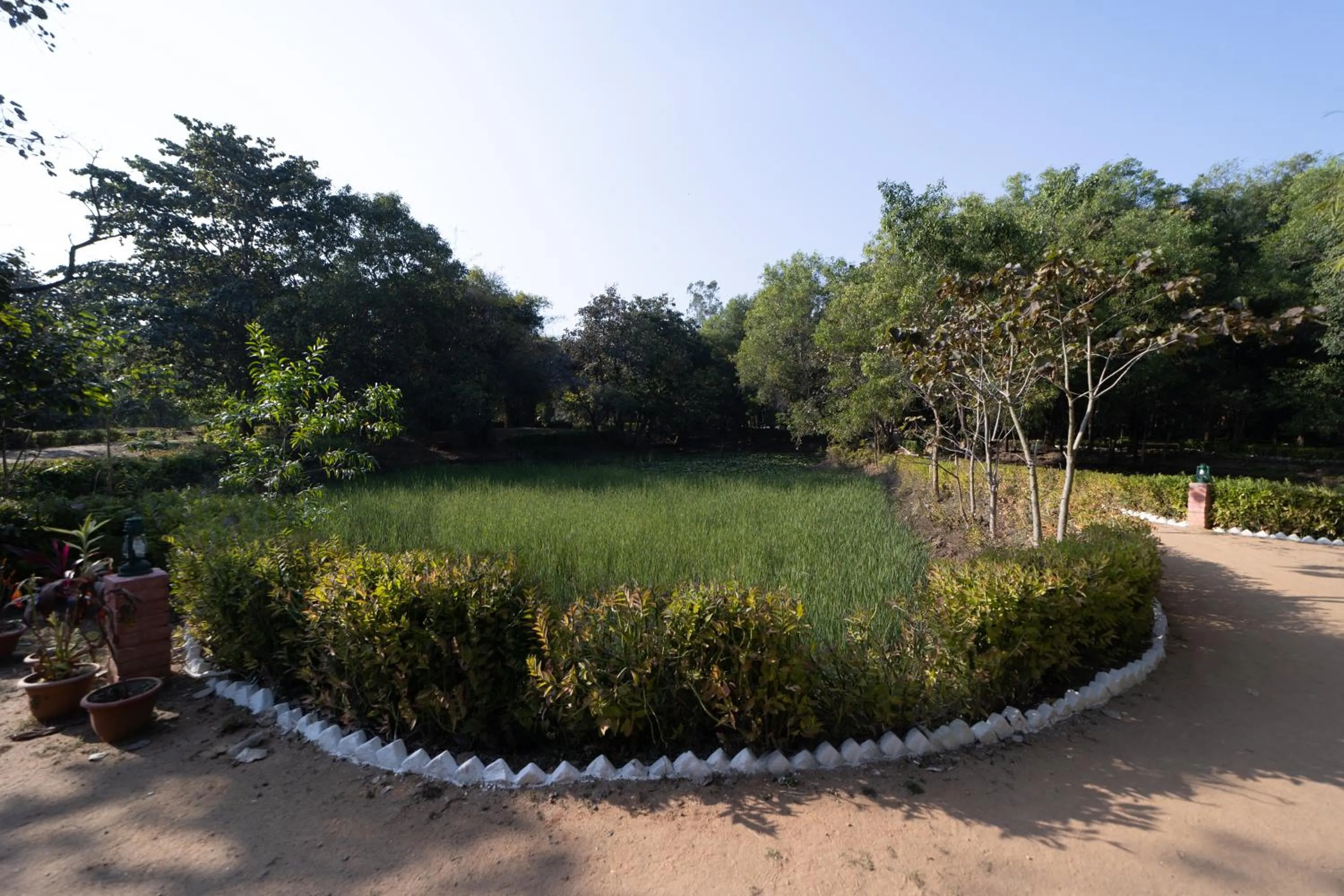 Natural landscape in Tiger Trails Resort