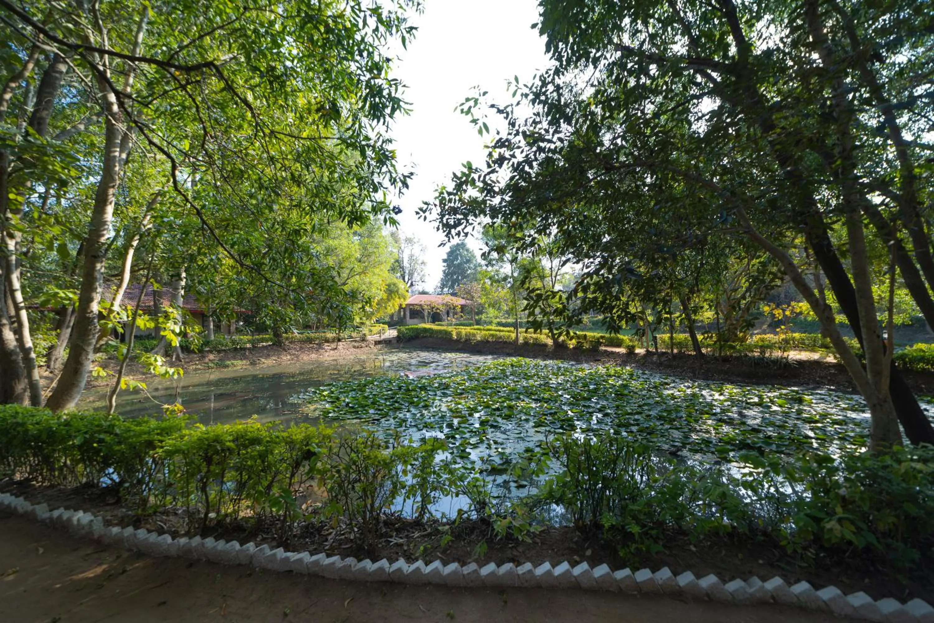 Garden view in Tiger Trails Resort