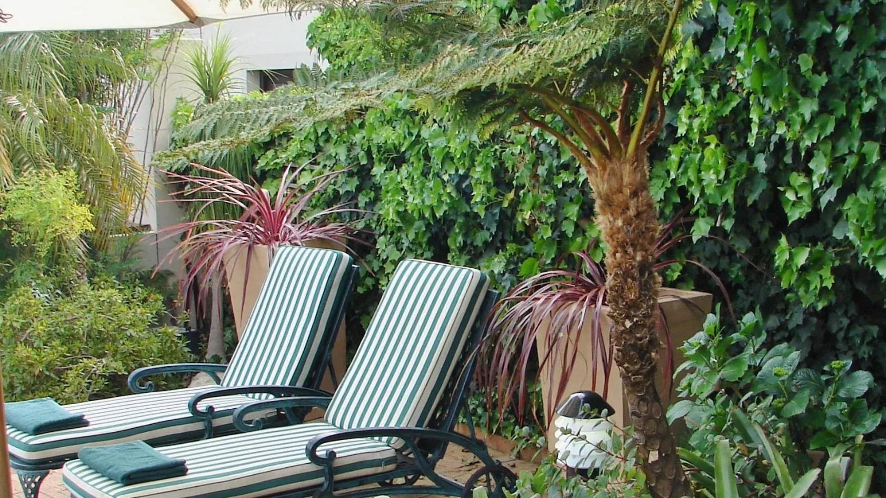 Swimming pool in Majorca House