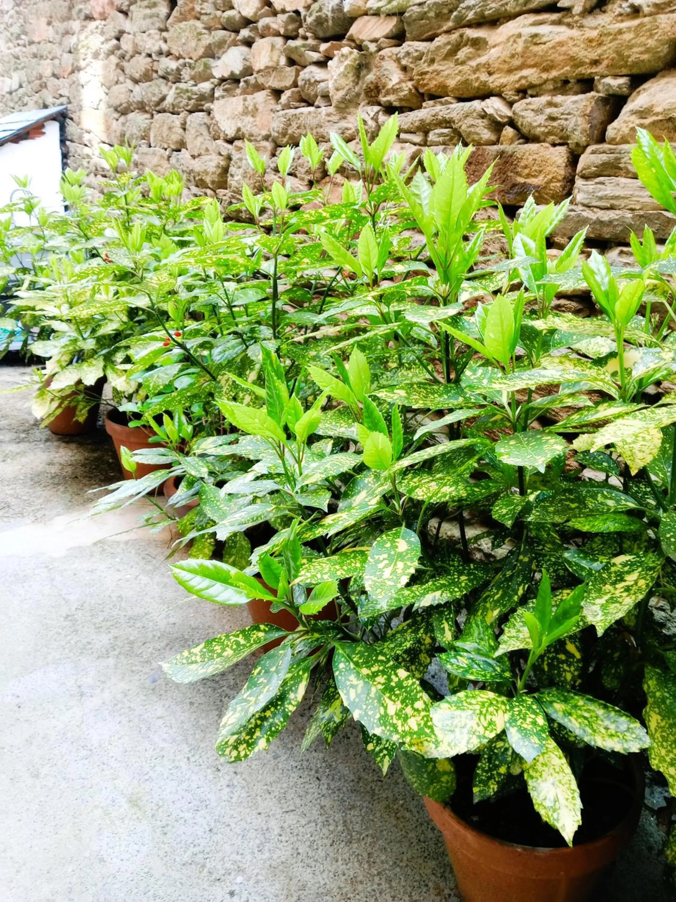 Albergue San Lázaro