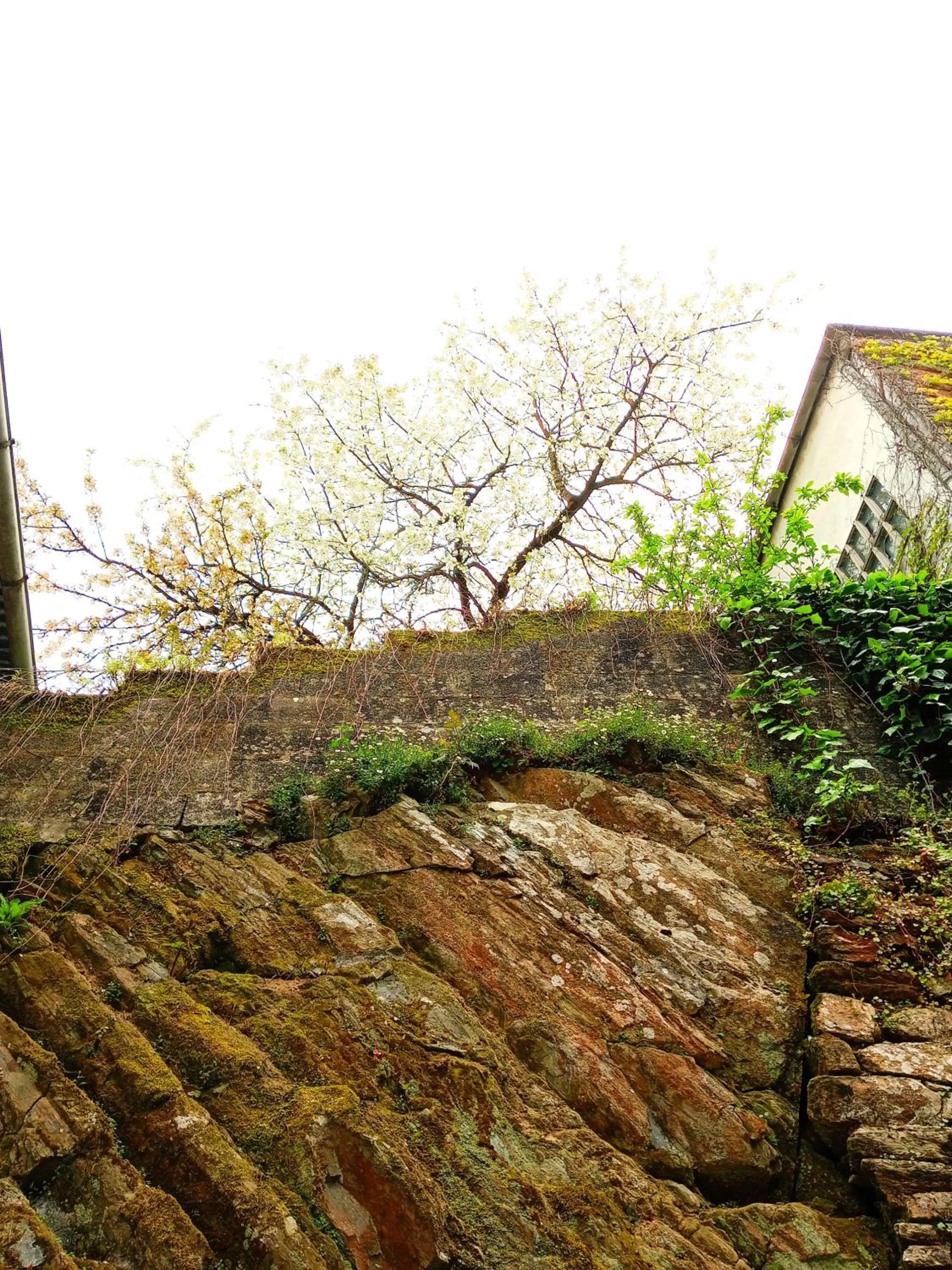 Albergue San Lázaro