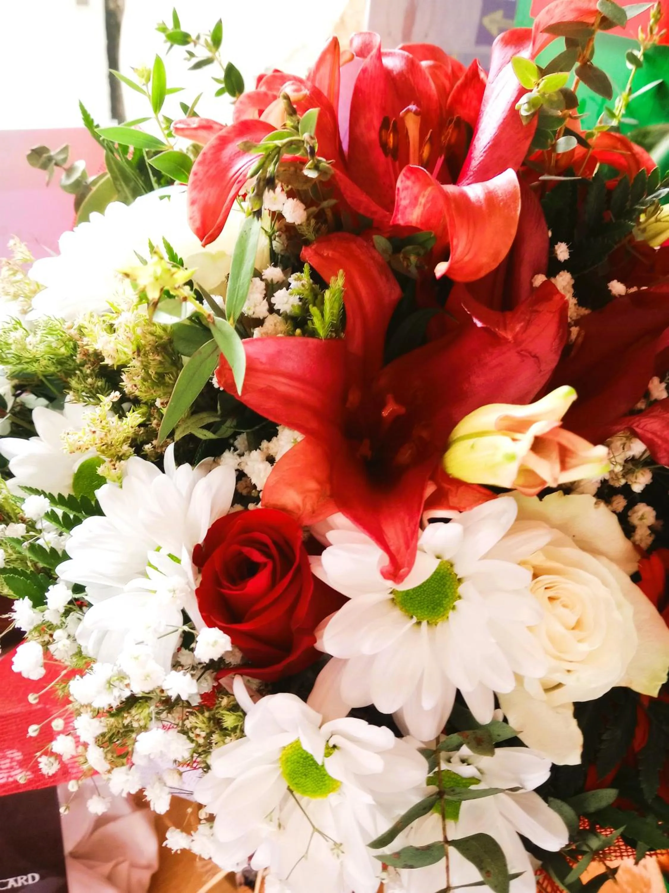 Albergue San Lázaro