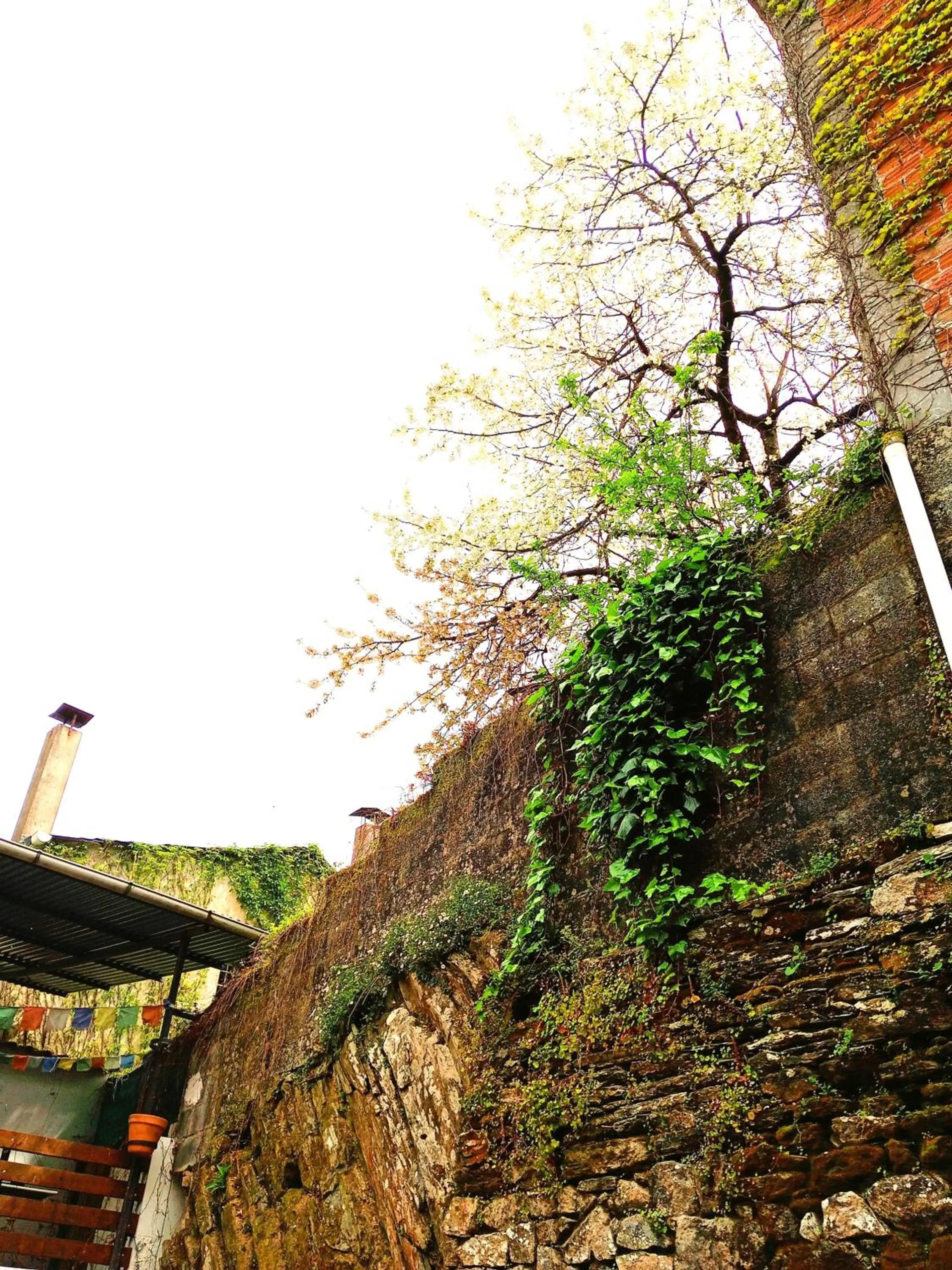 Albergue San Lázaro