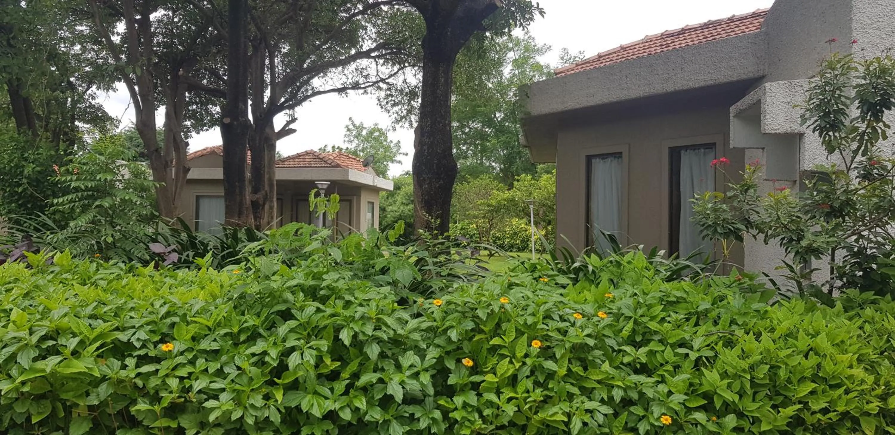 Property building in The Meadows Resort and Spa