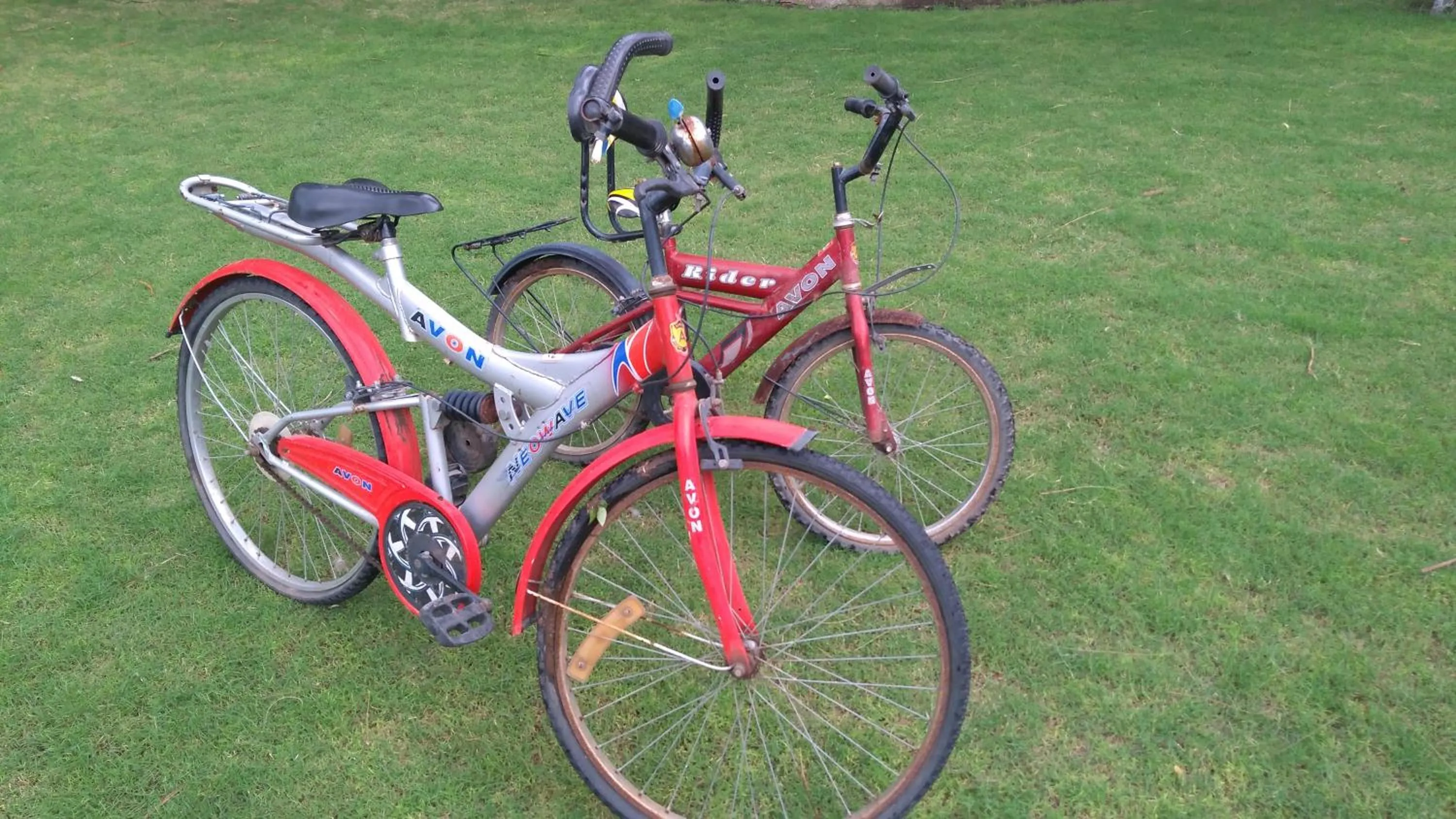 Activities in The Meadows Resort and Spa