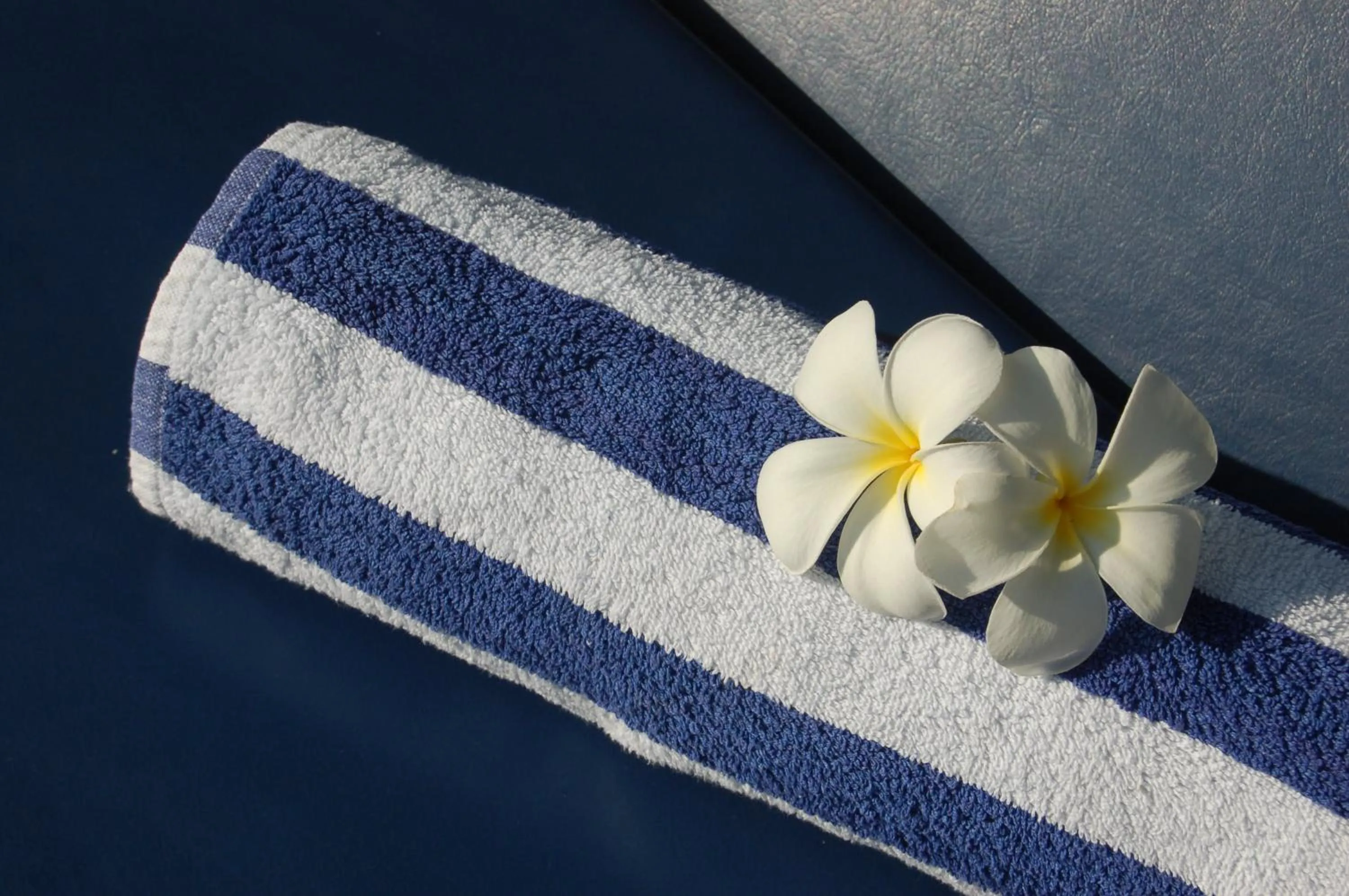 Swimming pool in The Meadows Resort and Spa