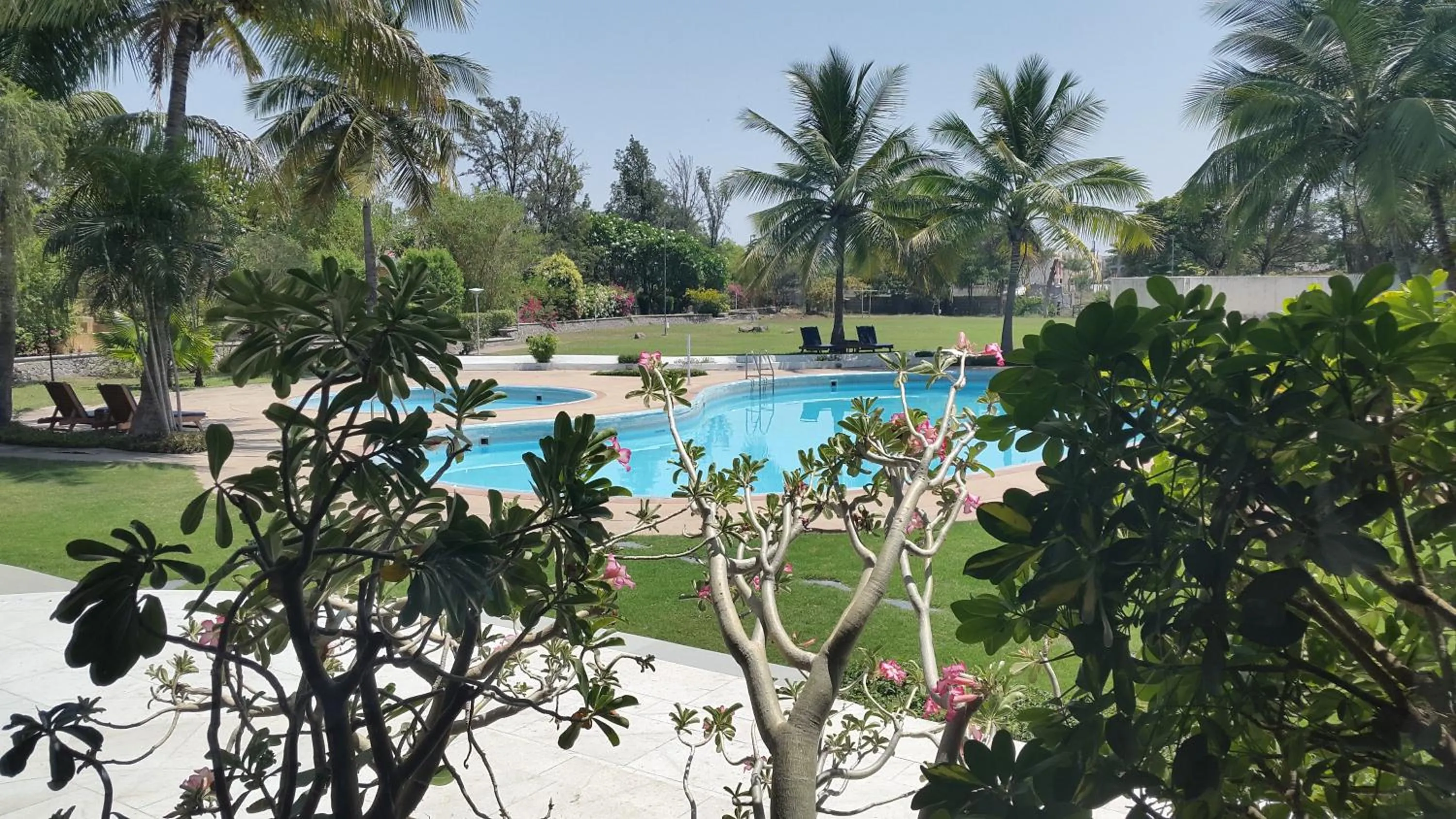 Swimming pool in The Meadows Resort and Spa