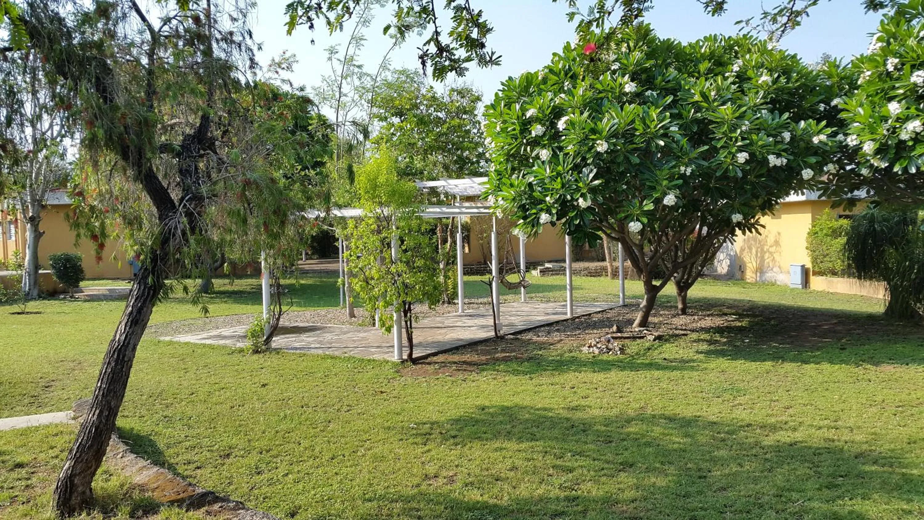 Garden in The Meadows Resort and Spa