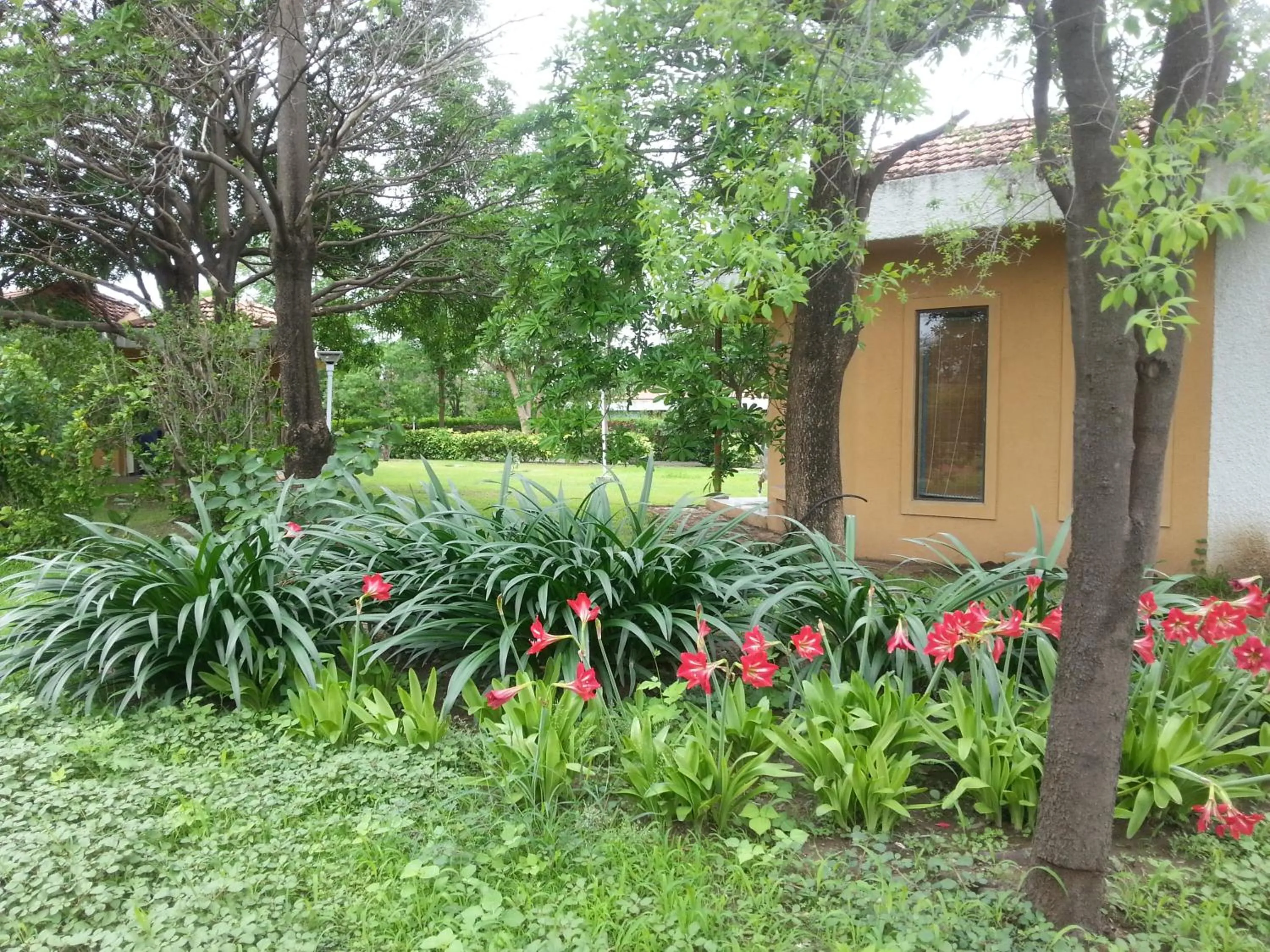 Garden in The Meadows Resort and Spa