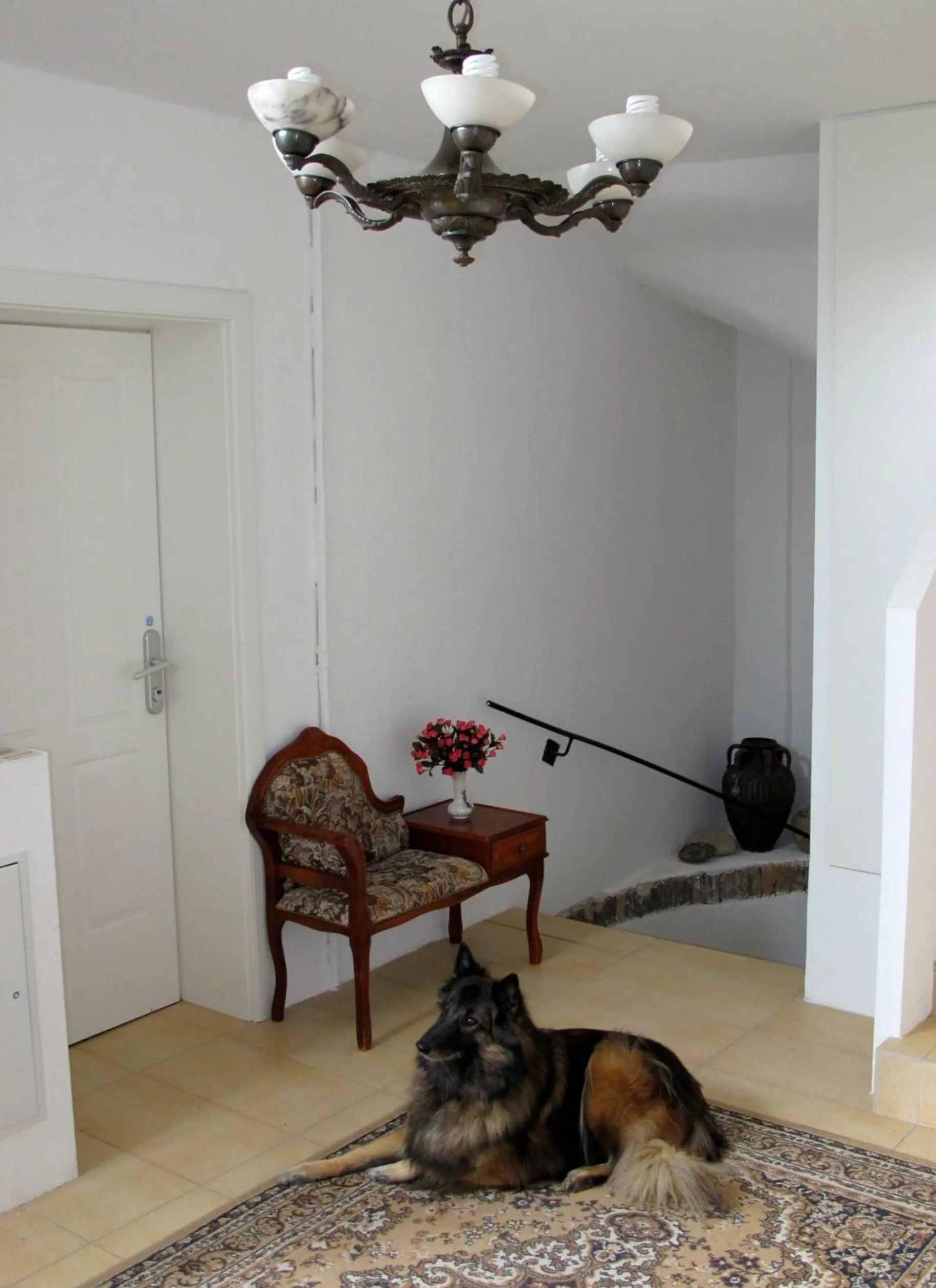 Other in Old Vienna Apartments