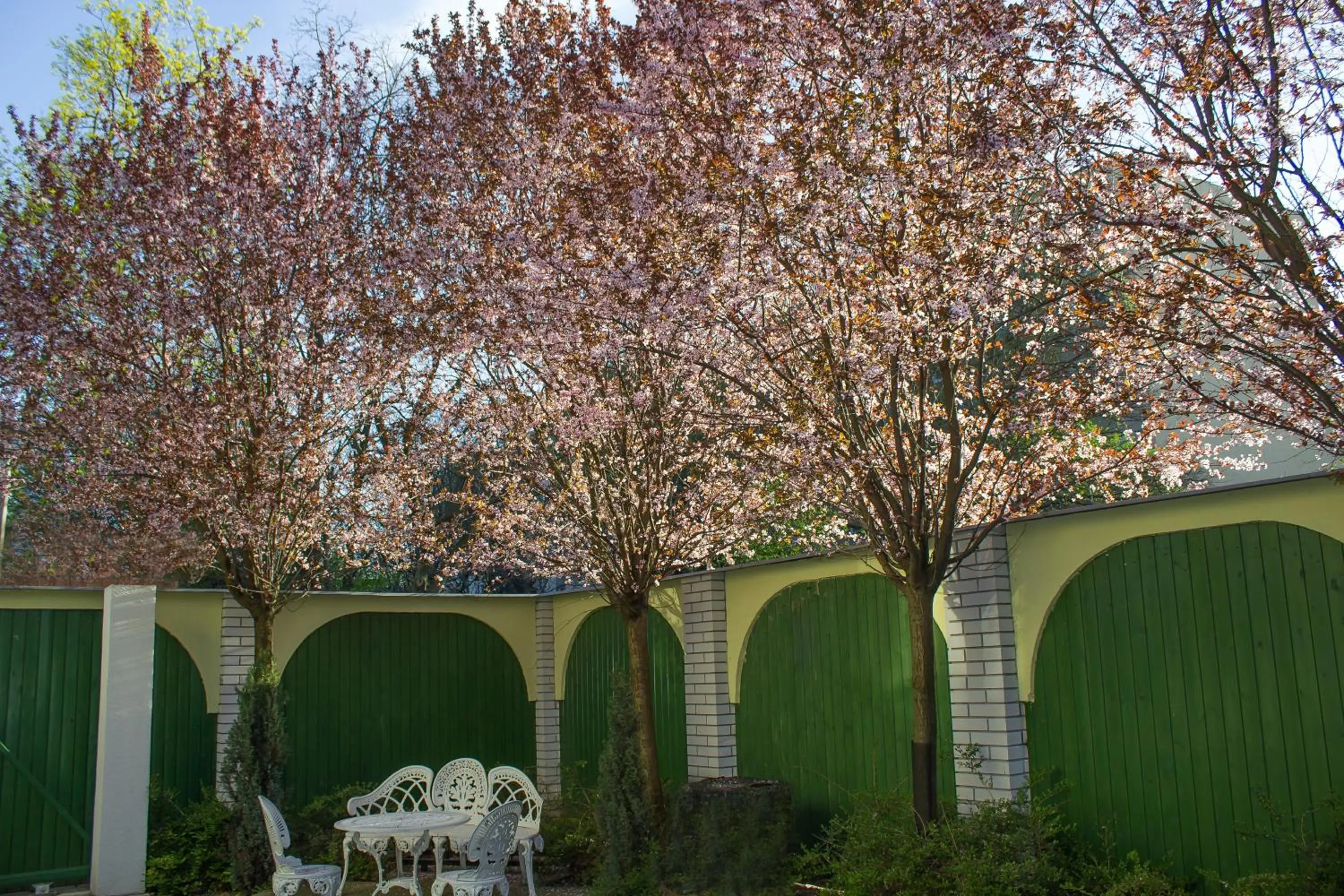 Garden view in Nexus Vendégház Szeged