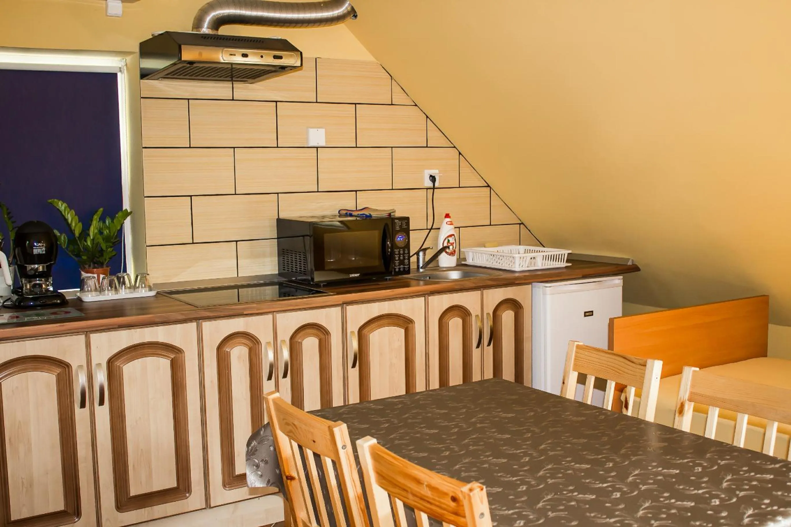 Kitchen or kitchenette in Nexus Vendégház Szeged