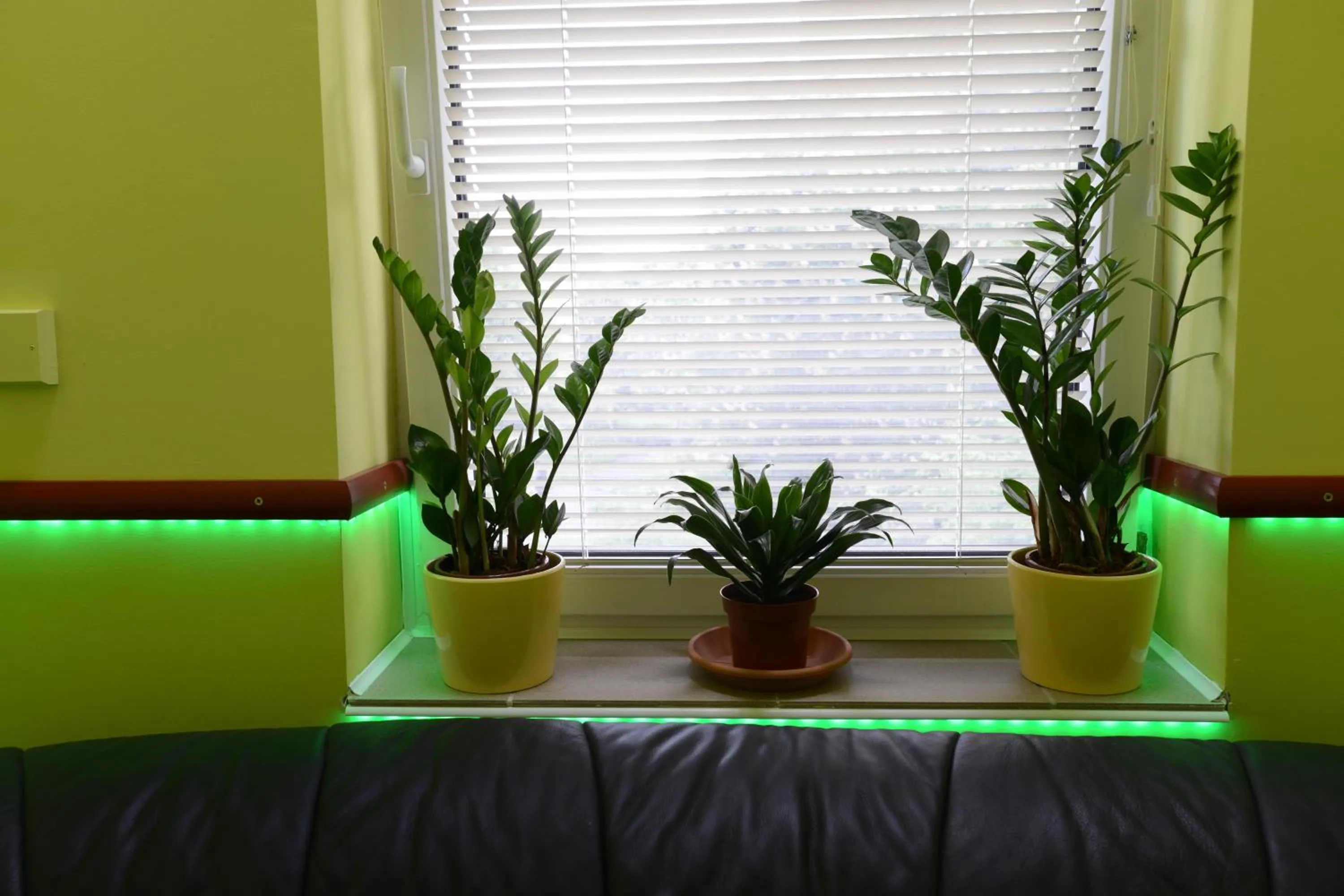 Decorative detail in Nexus Vendégház Szeged