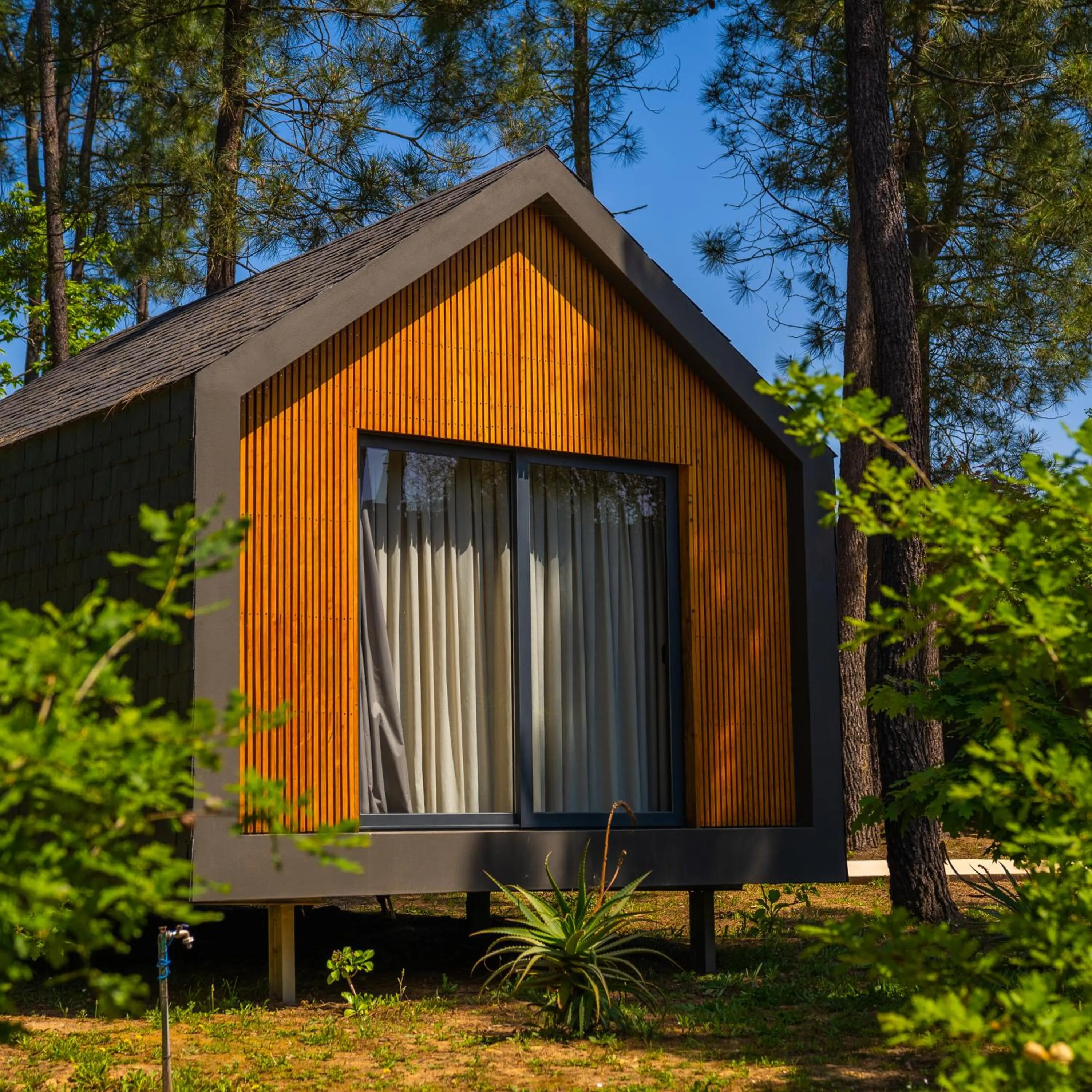 Day in Quinta do Pedregal Hotel & Spa