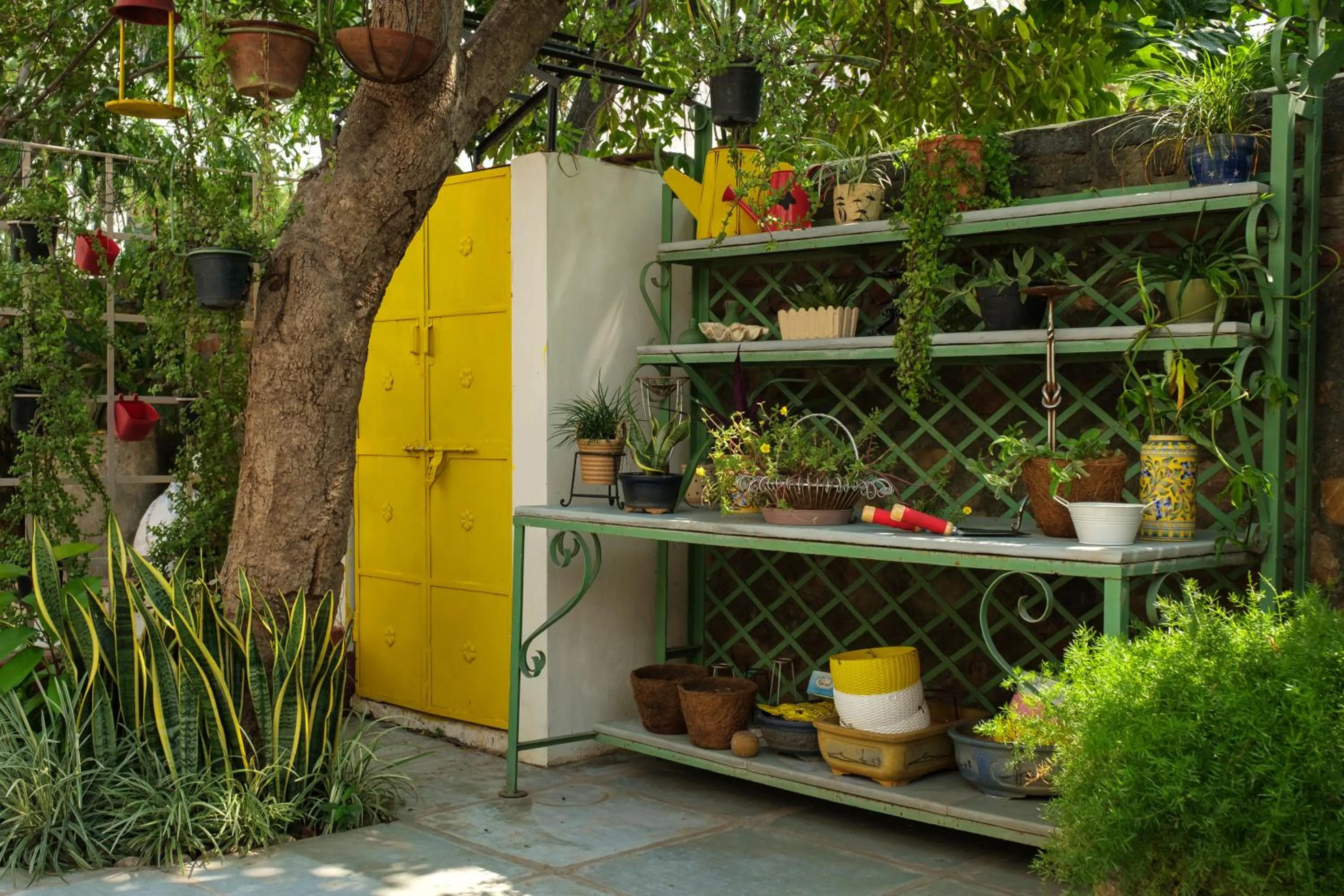 Garden in Shree Nikunj - A Luxury Boutique Homestay in Jaipur