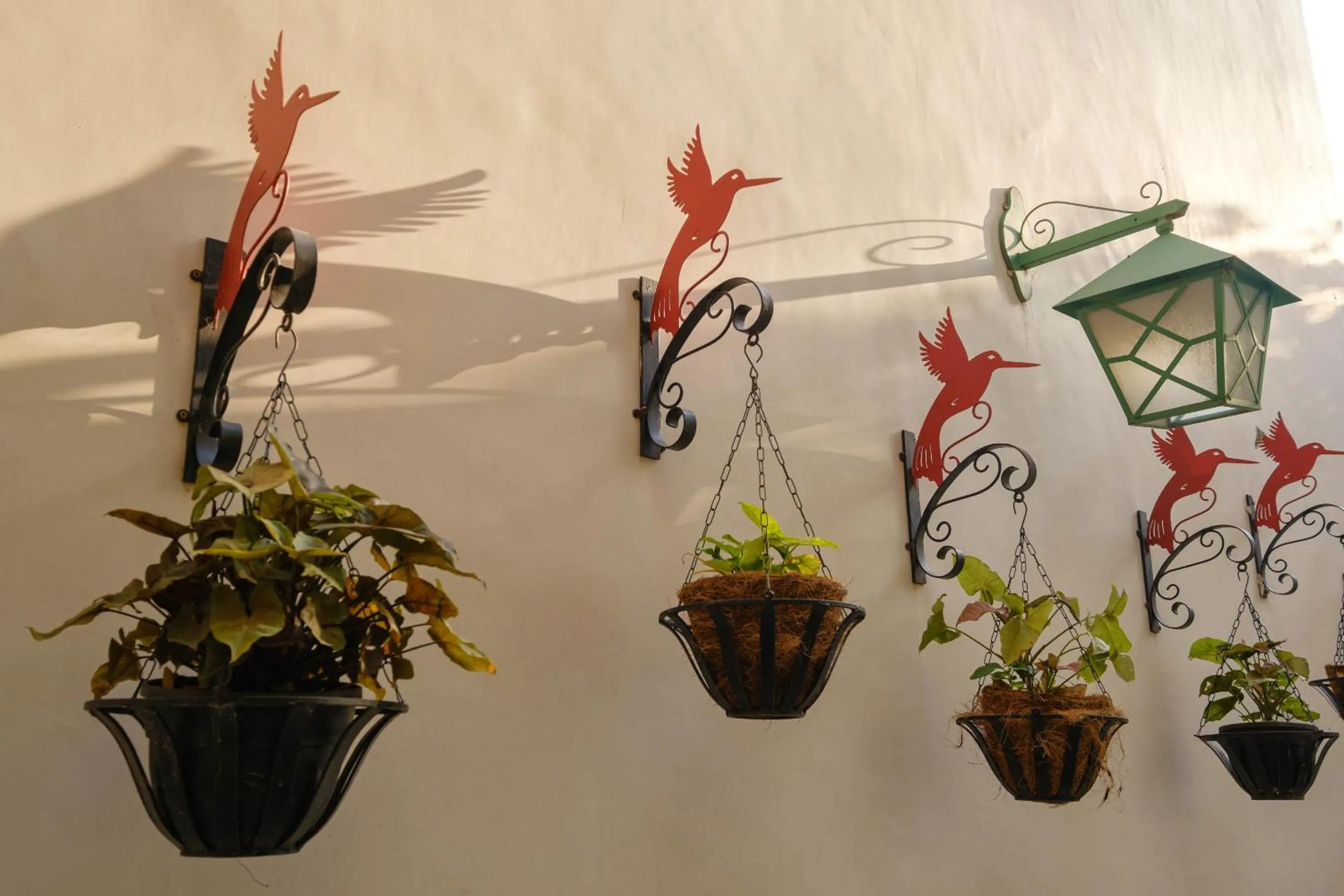 Decorative detail in Shree Nikunj - A Luxury Boutique Homestay in Jaipur