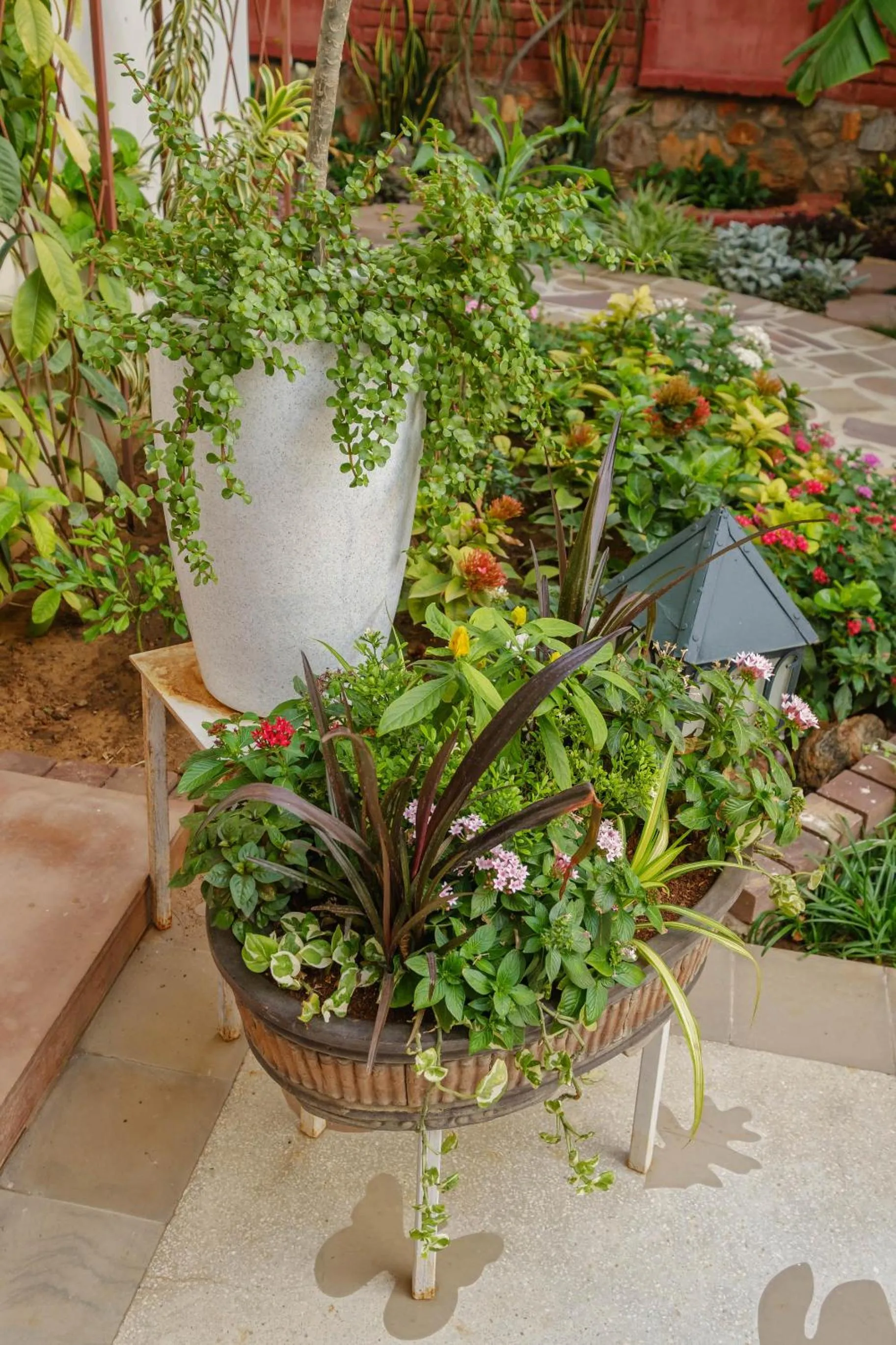 Garden in Shree Nikunj - A Luxury Boutique Homestay in Jaipur