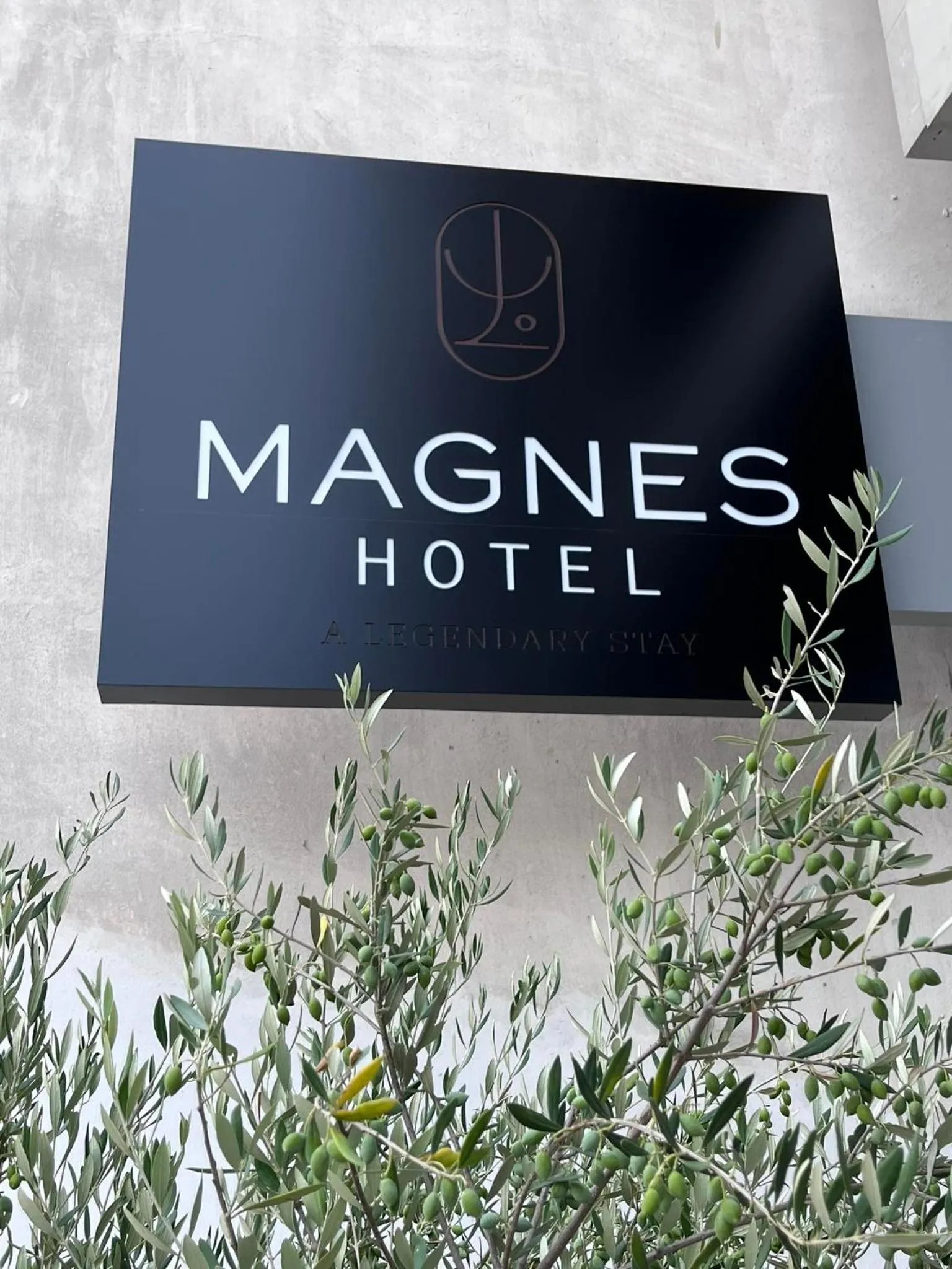 Property logo or sign in Magnes Hotel