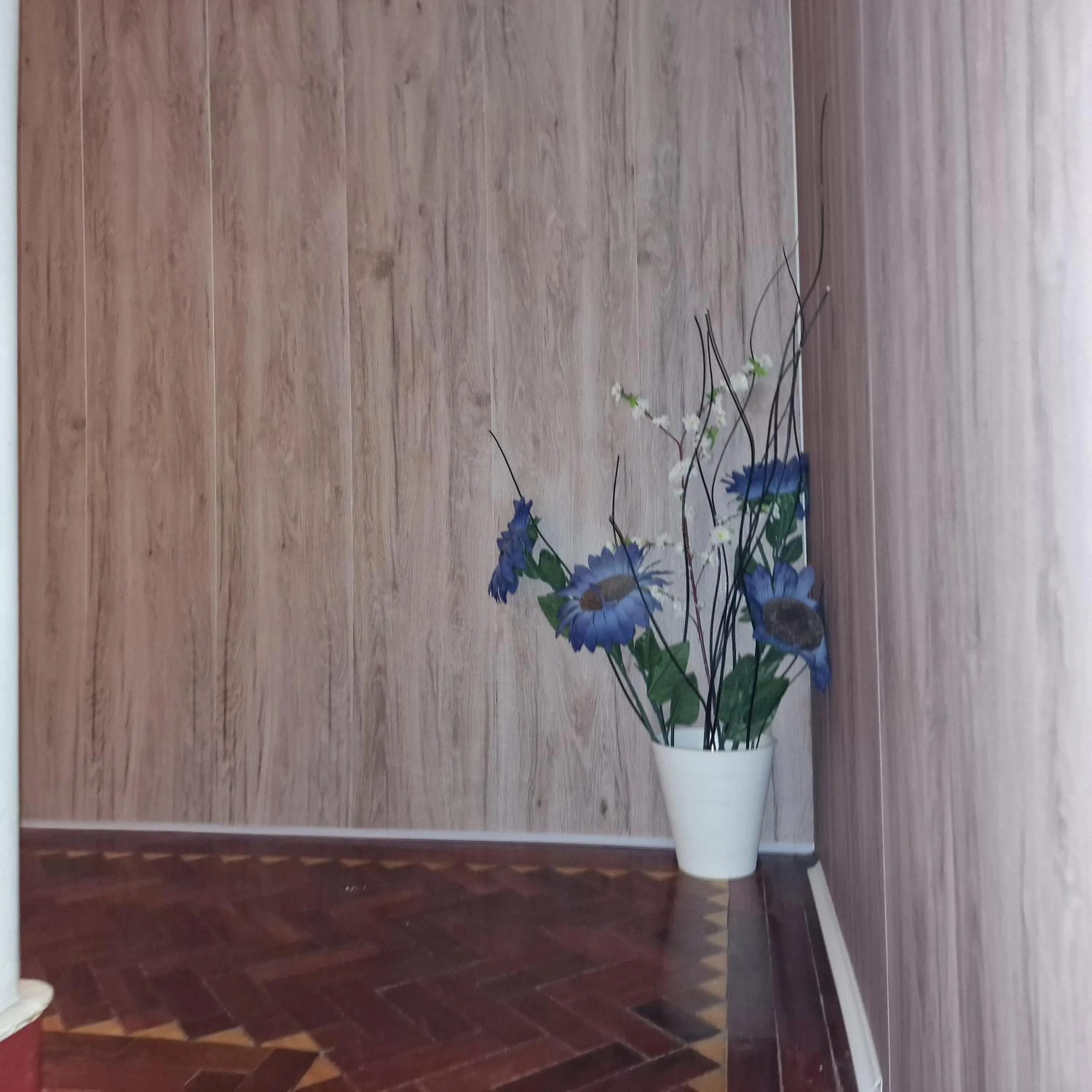 Area and facilities in Mini Hostel in Lisbon