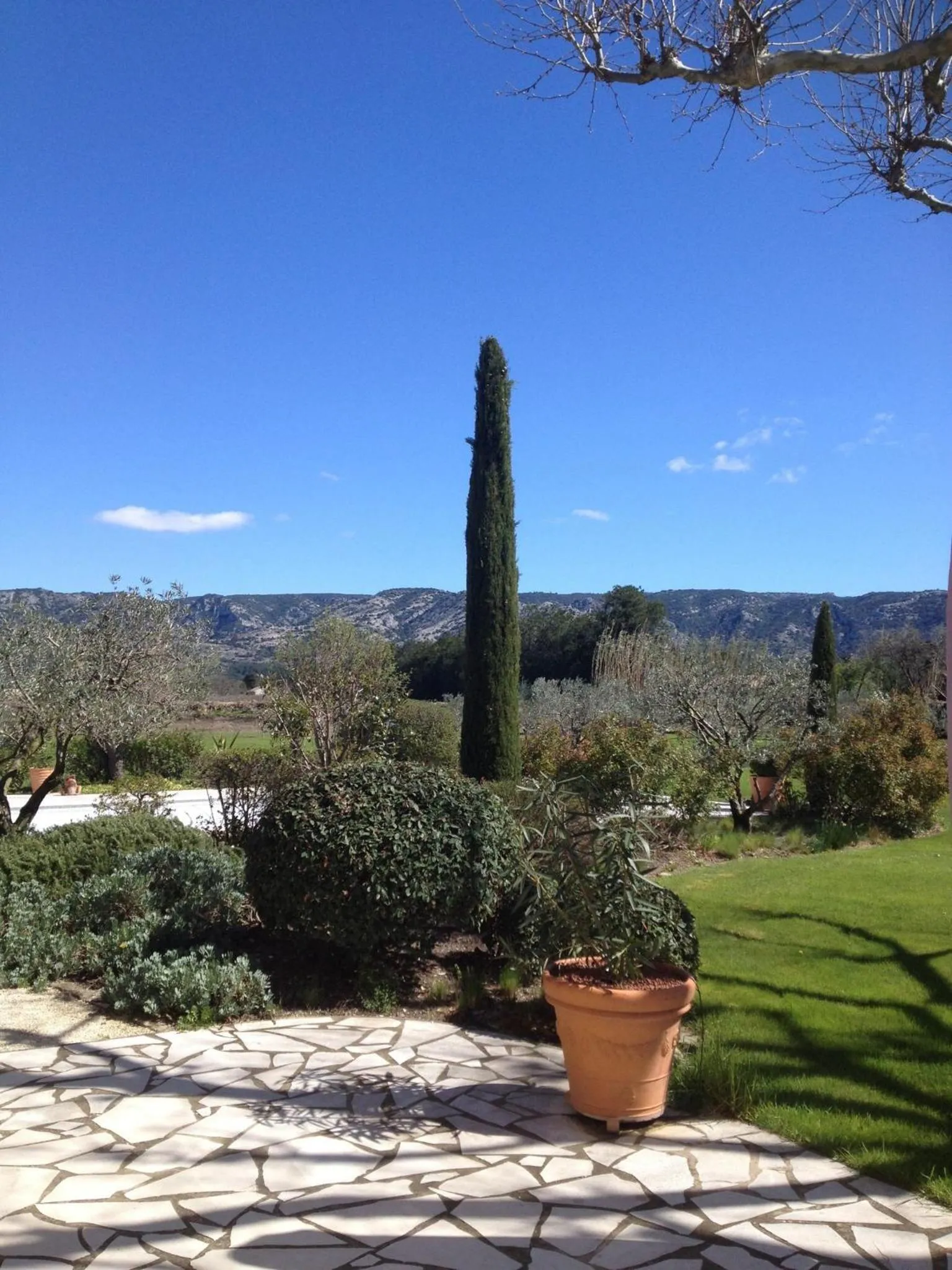 Garden view in Mas de Chantounette