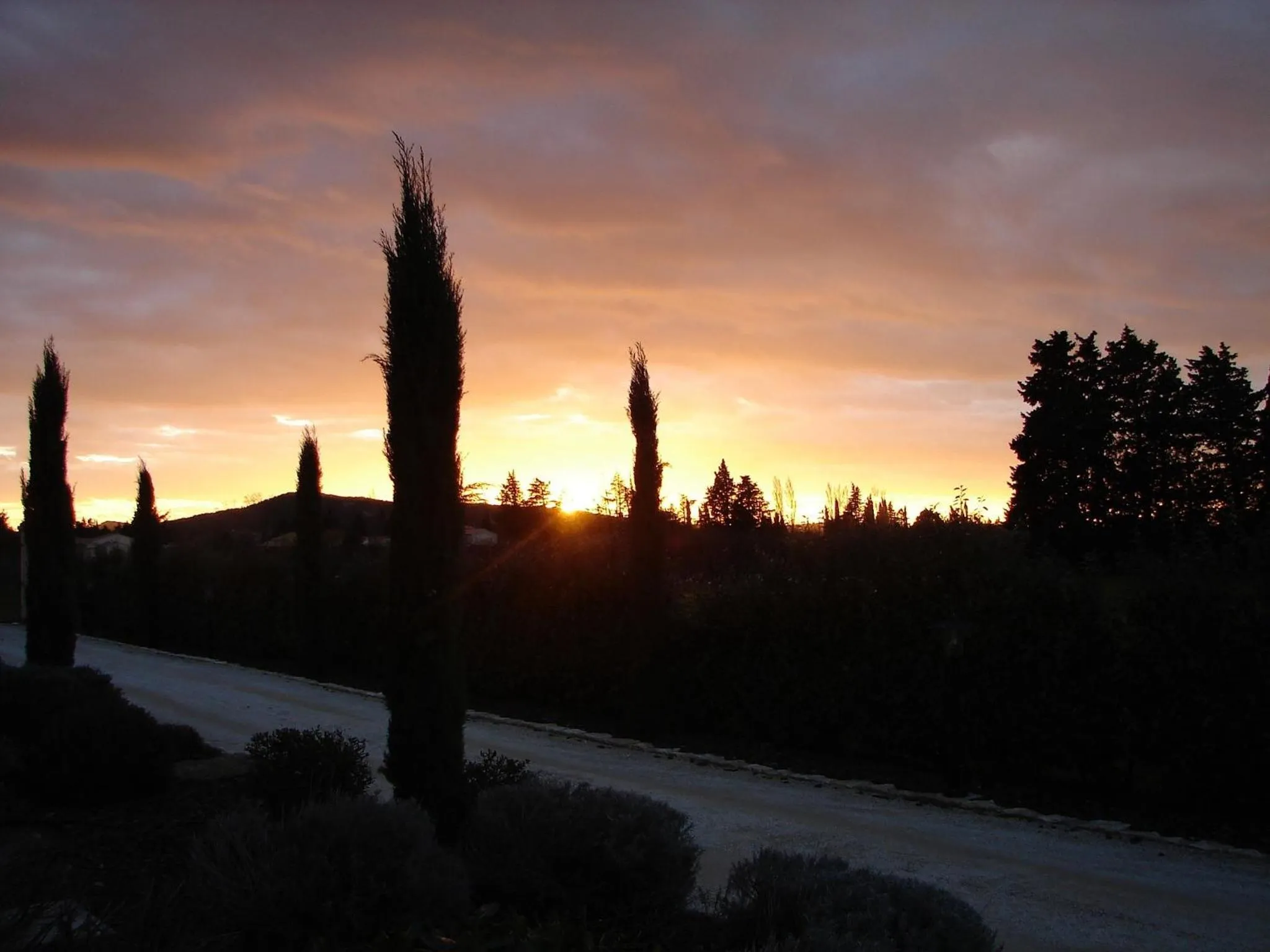 View (from property/room) in Mas de Chantounette