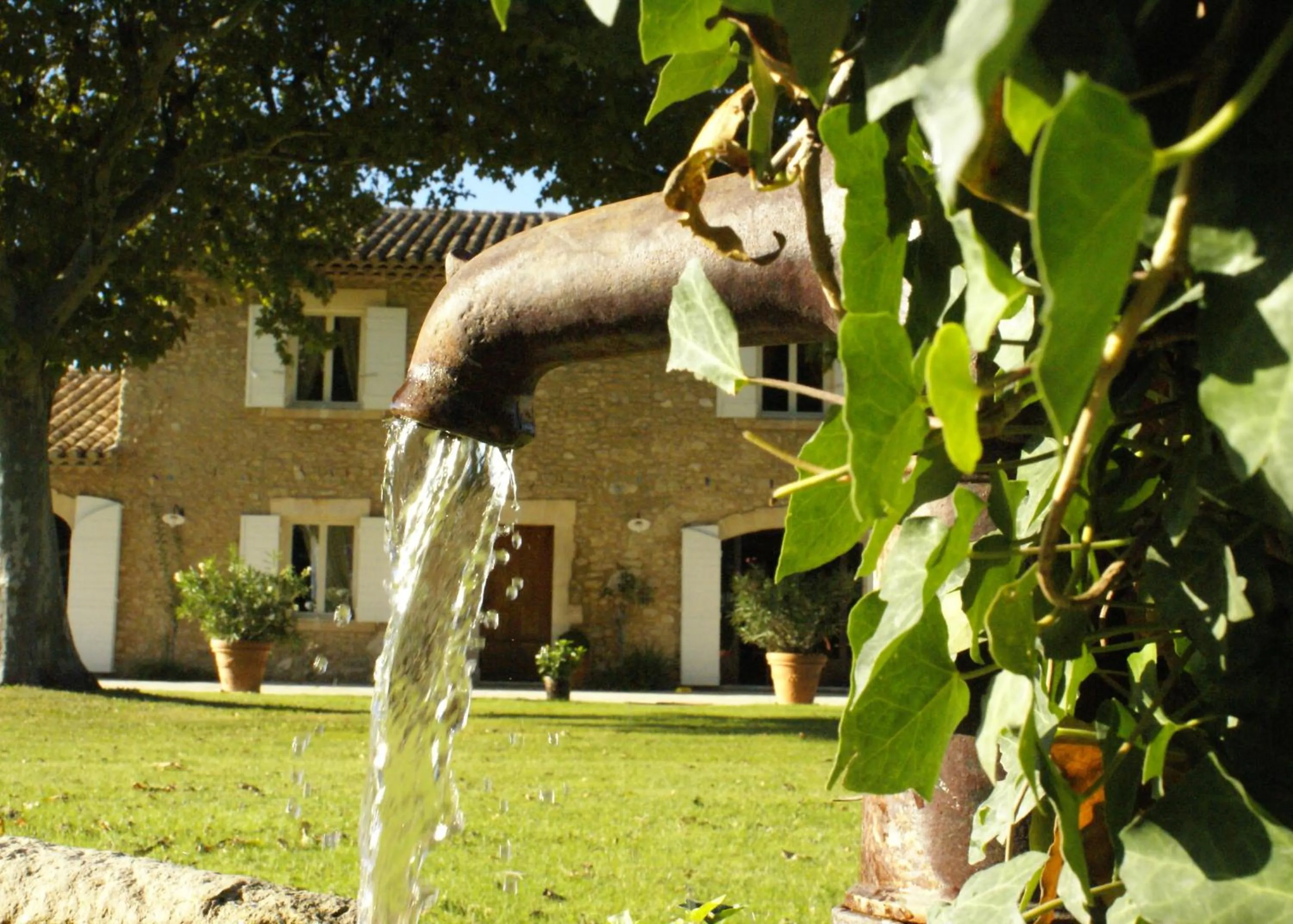 Garden in Mas de Chantounette
