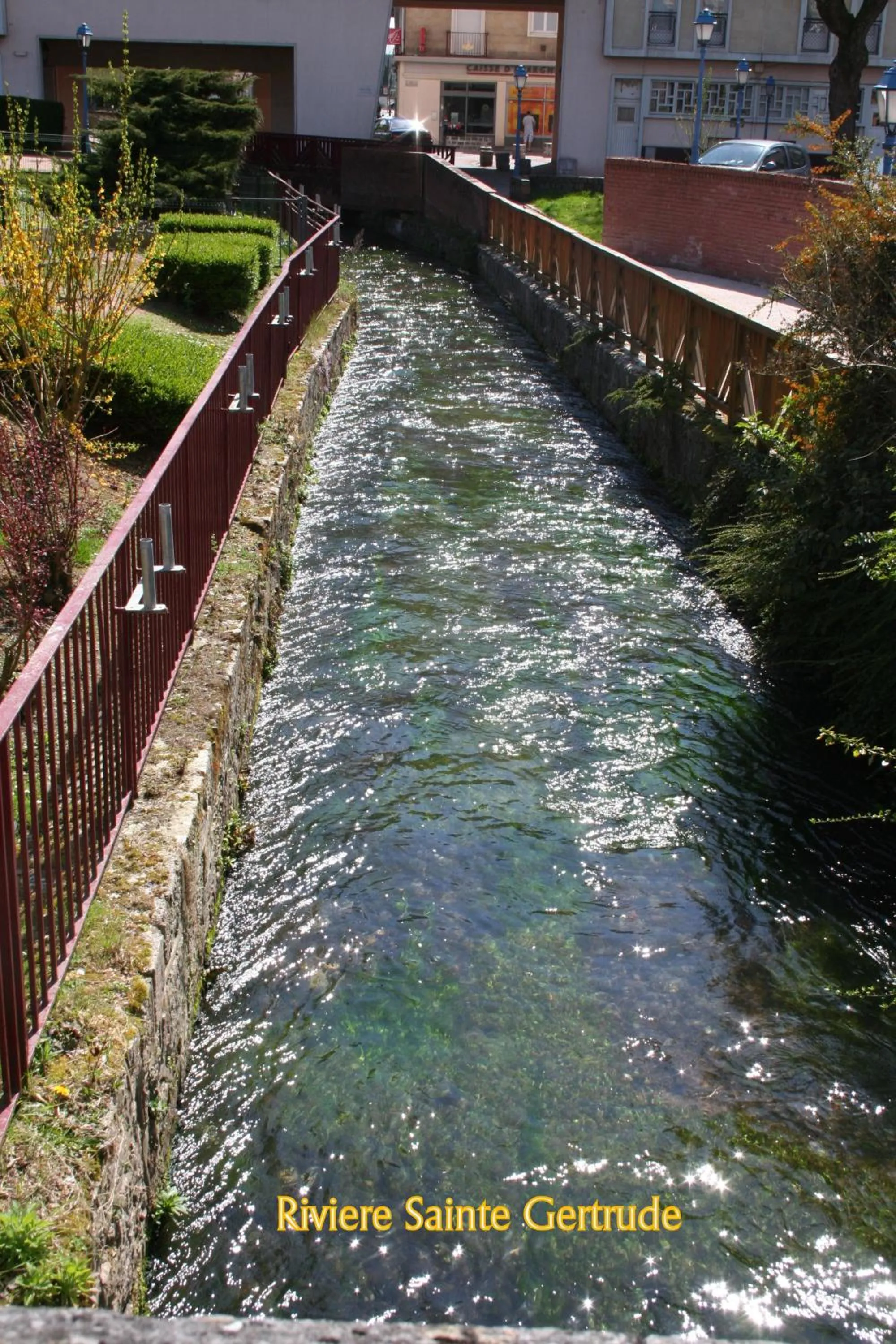 Neighbourhood in Les Hellebores