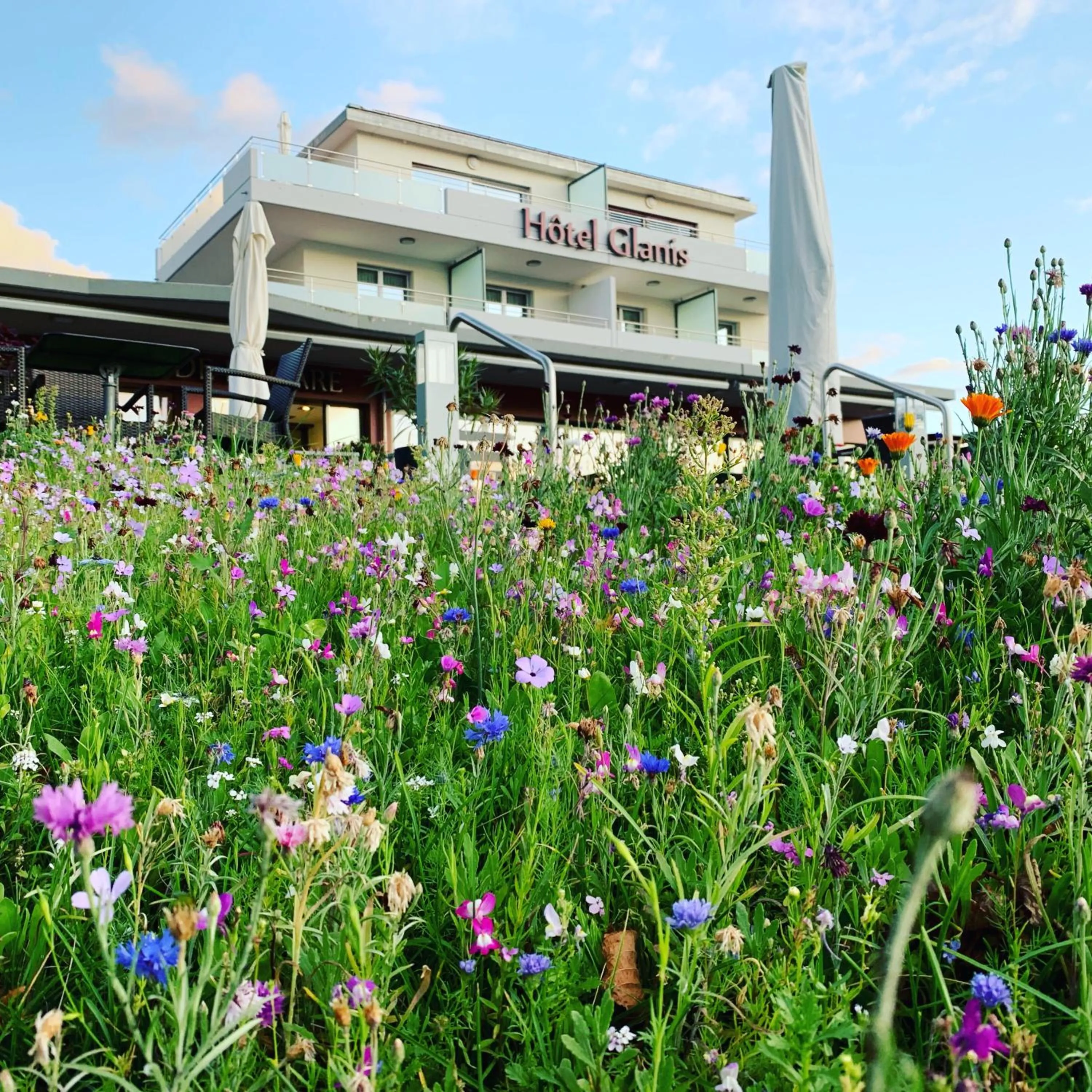 Garden in Hôtel Glanis