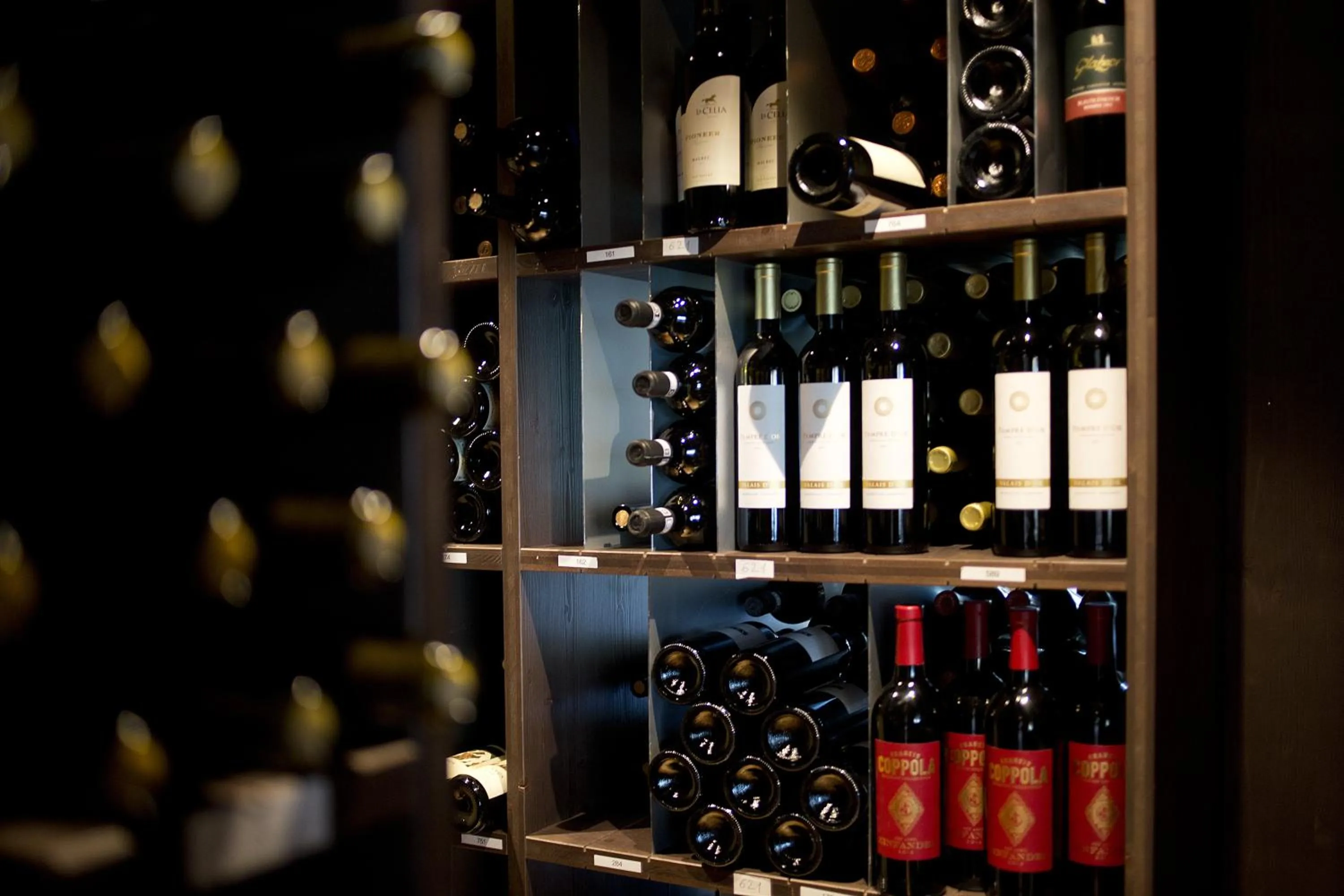 Area and facilities in Hôtel Glanis